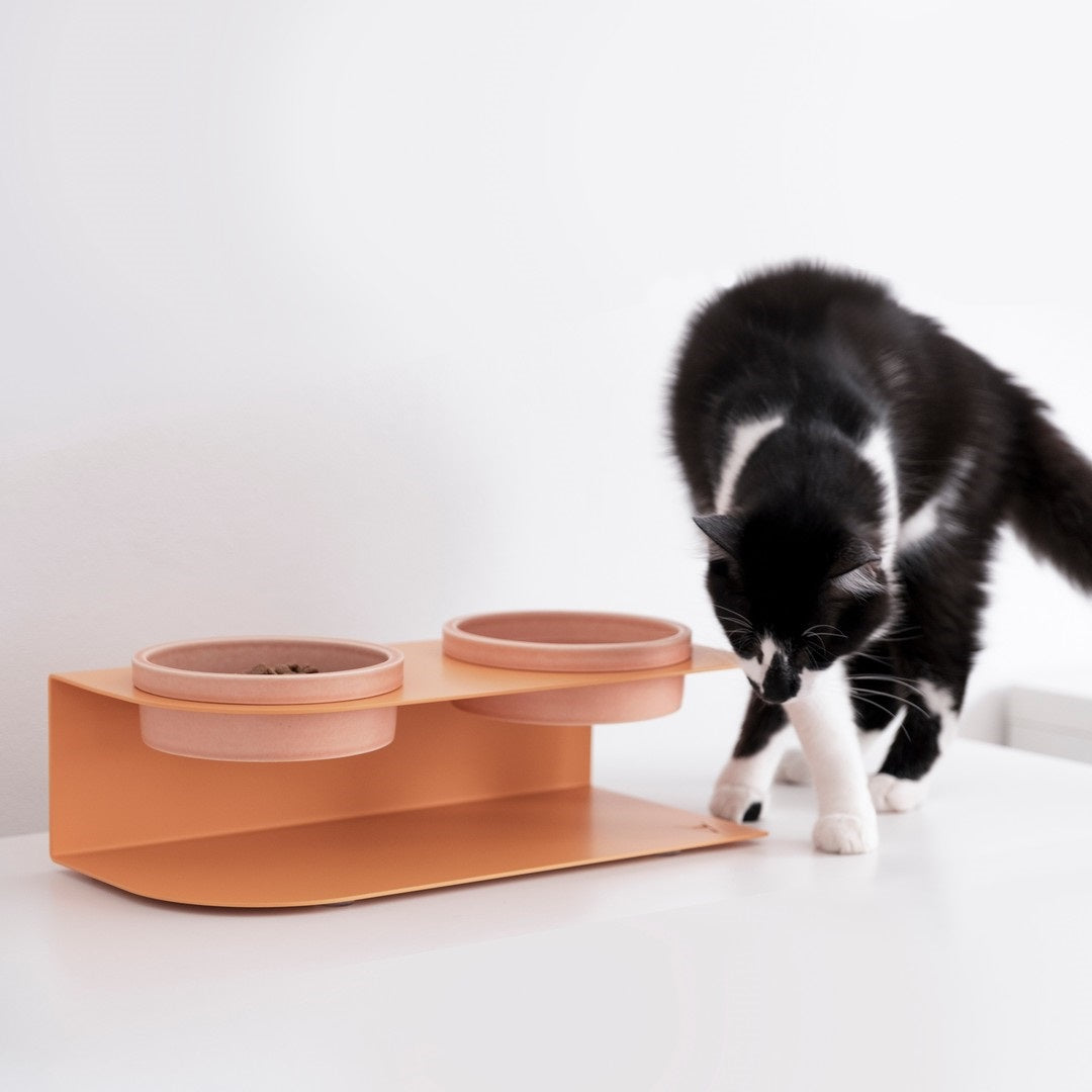 gamelle chat noir et bois