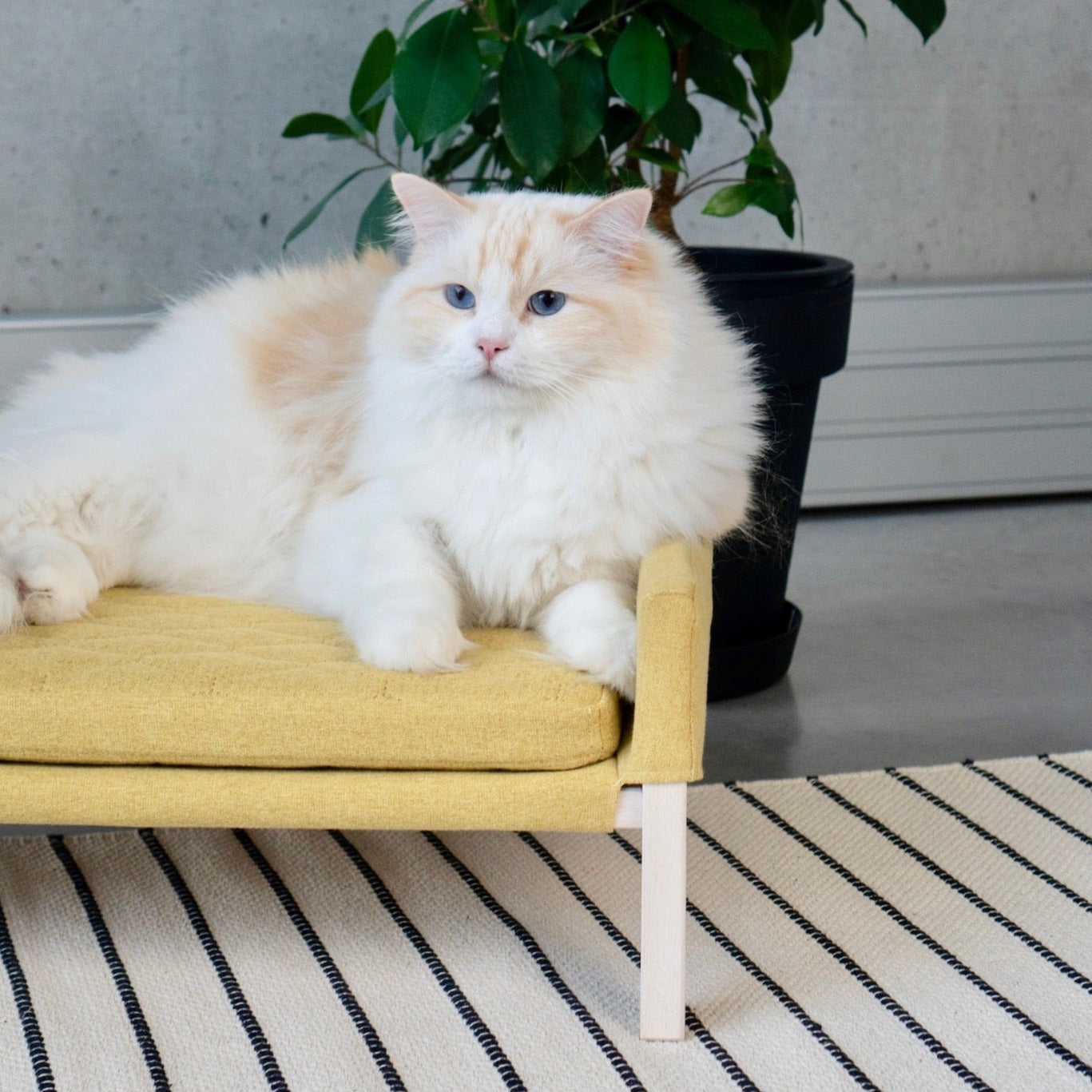 LULU canapé