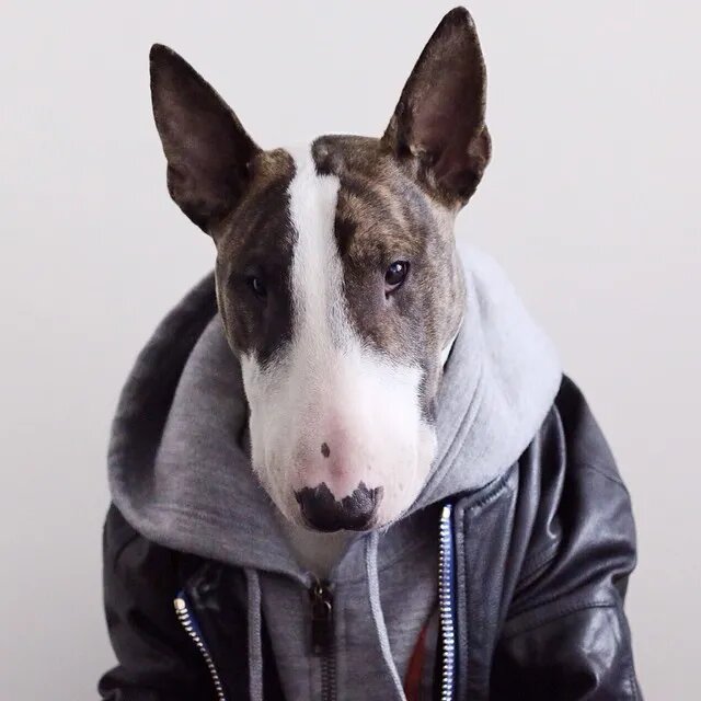 Neville Jacobs: I'm Marc's Dog