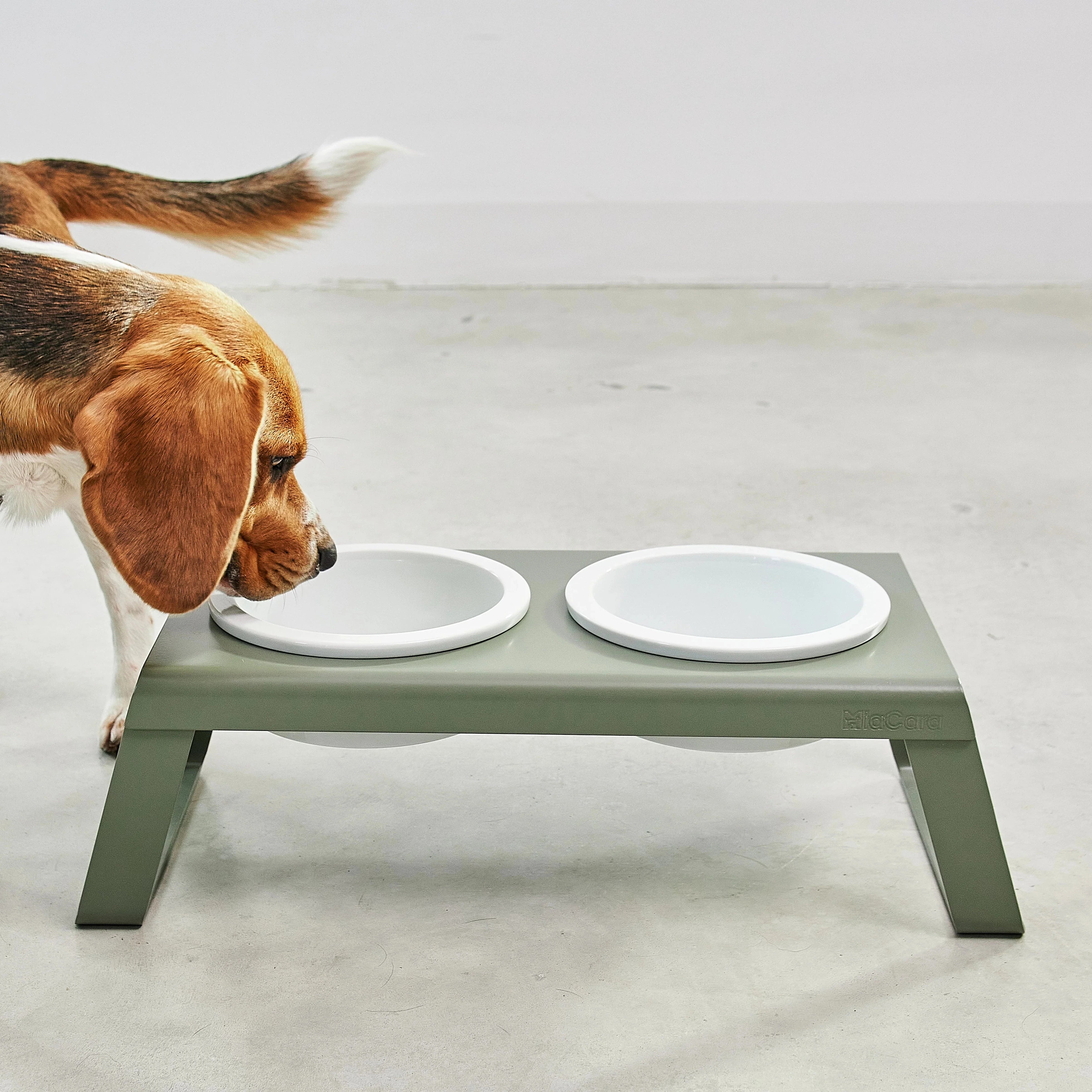 Support gamelles surélevé design – intérieur contemporain