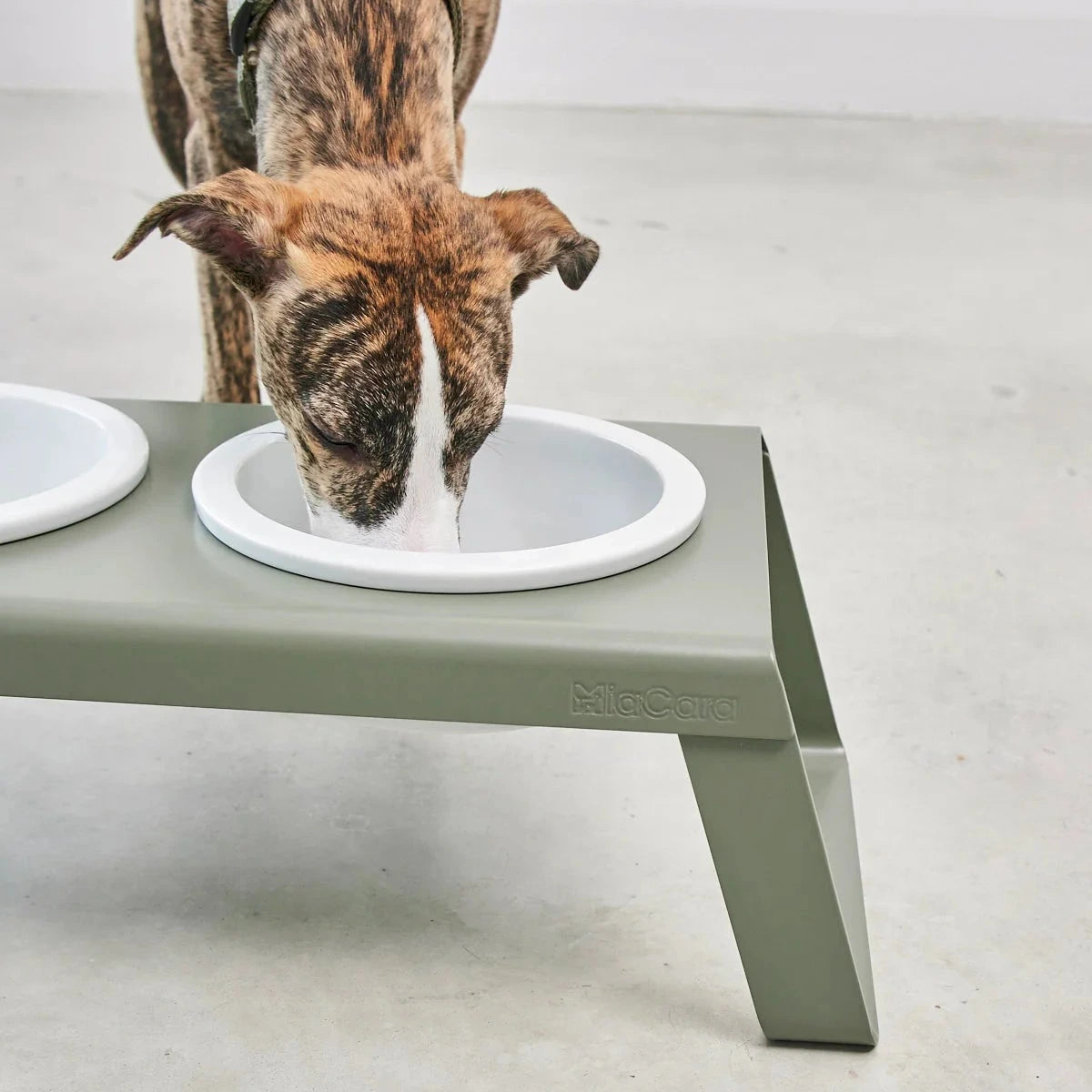 Support gamelles surélevé design – intérieur contemporain