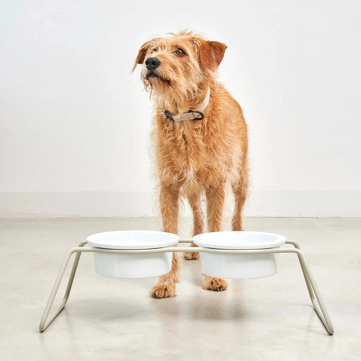 Bol minimaliste pour animal – intérieur contemporain