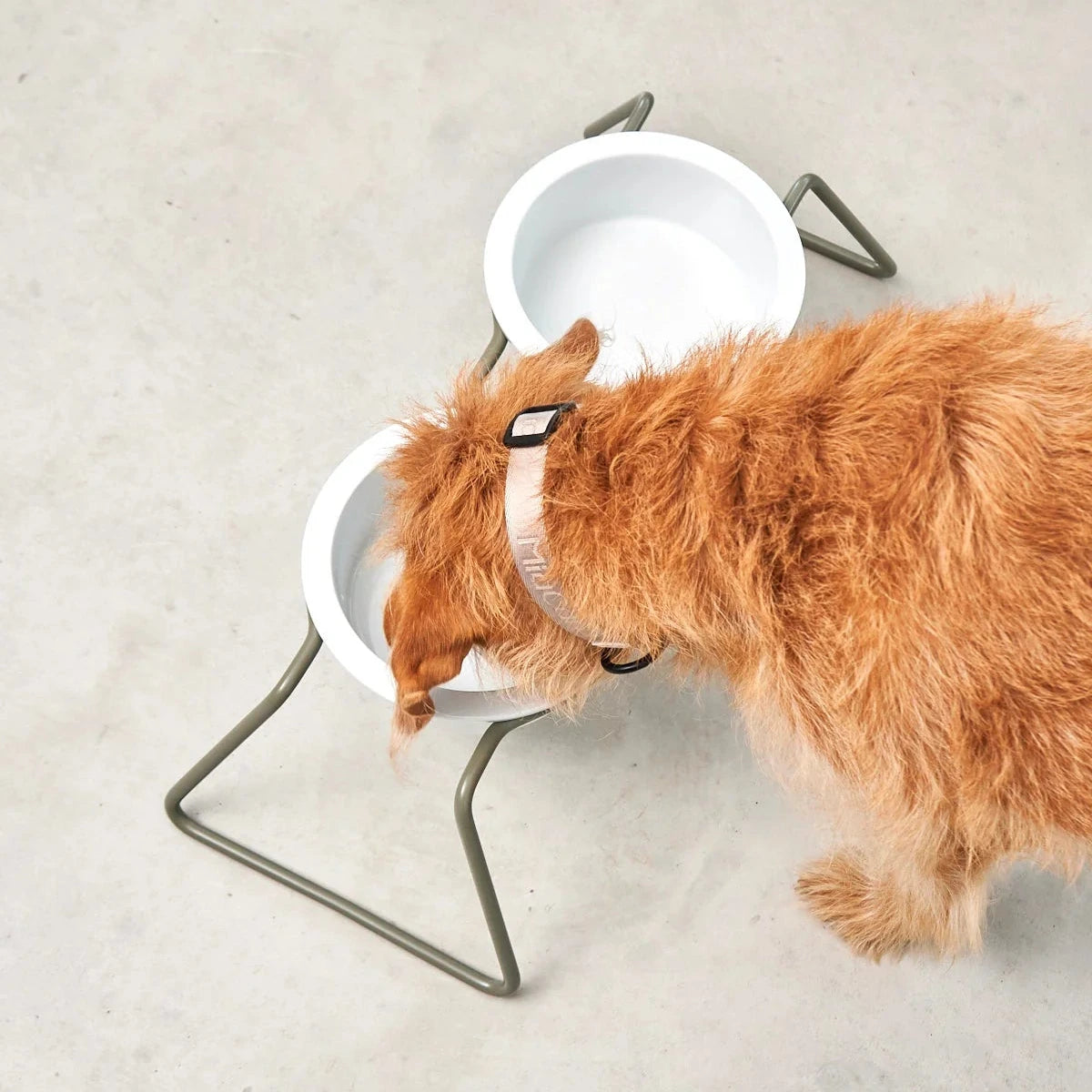 Bol minimaliste pour animal – intérieur contemporain