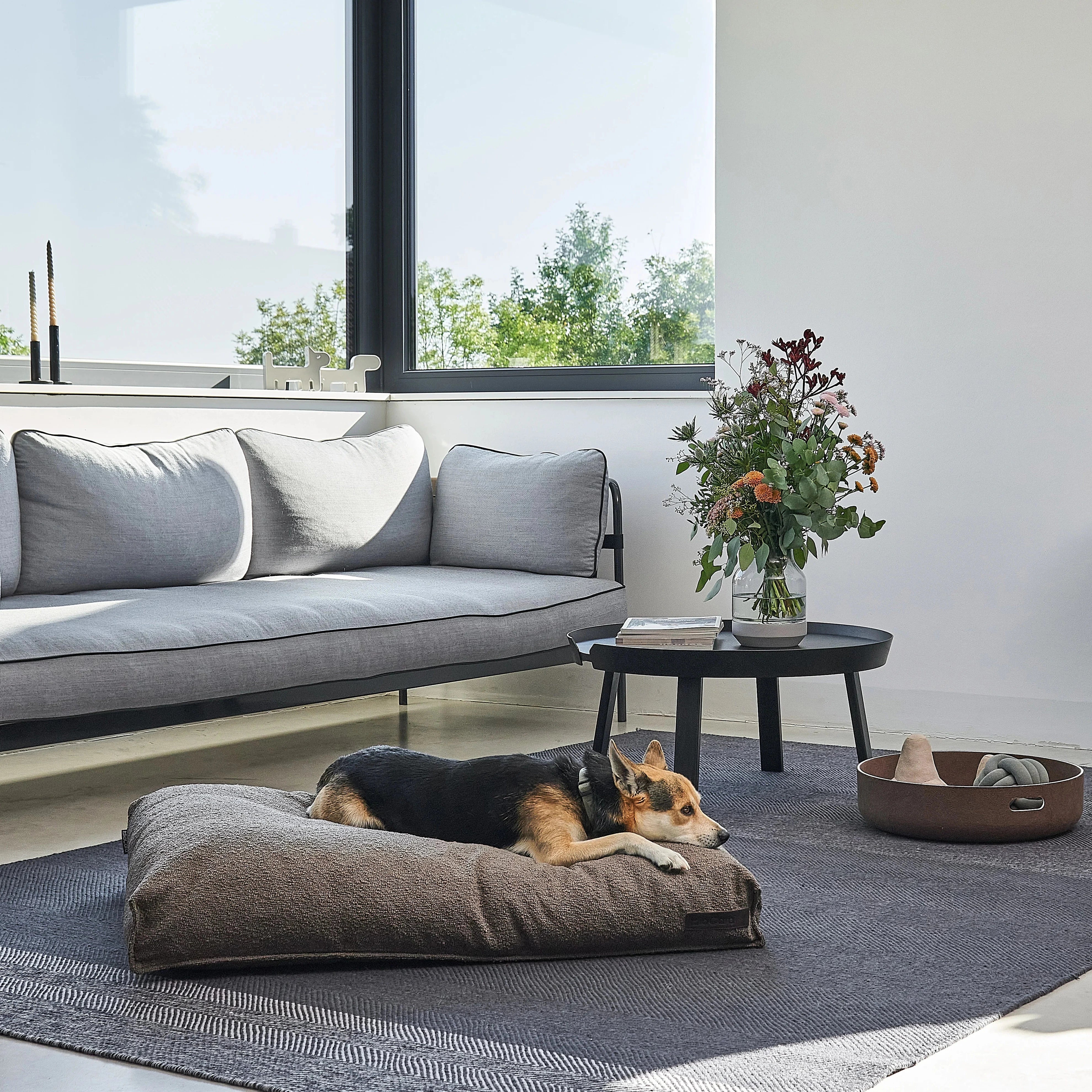 Mondo – Coussin design pour chien