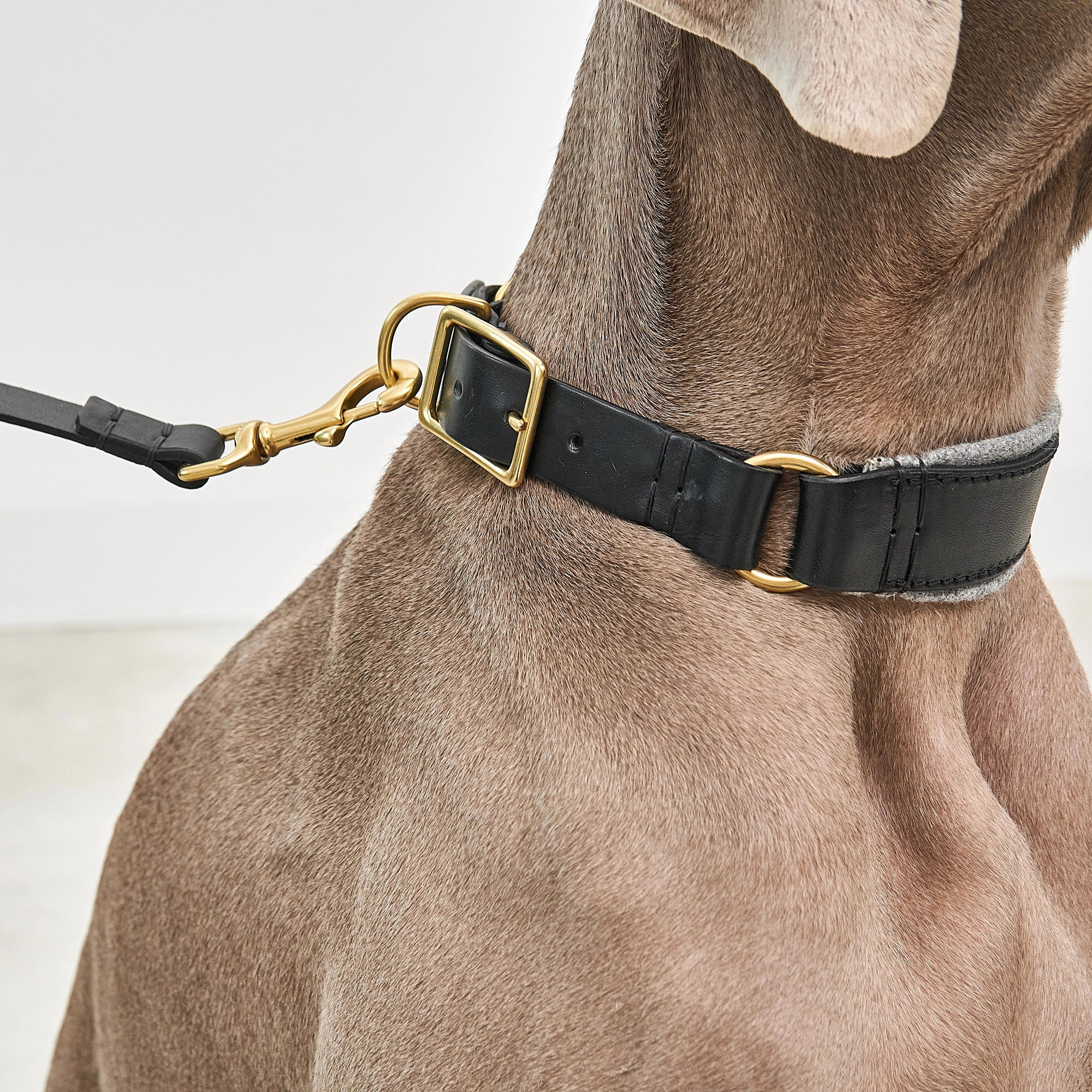 Harnais / collier Siena – détail quincaillerie laiton et couture artisanale