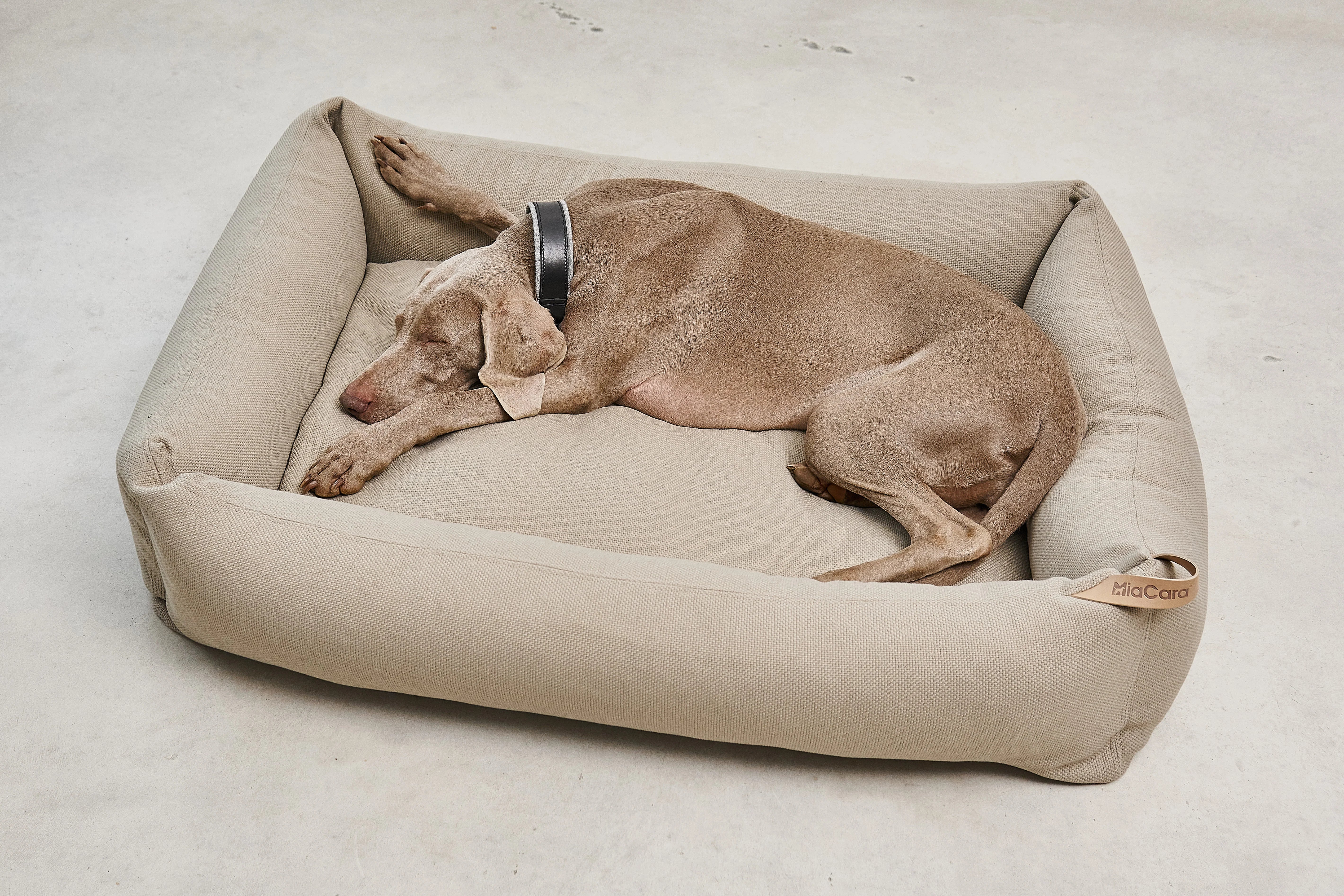 Sonno – Panier design & orthopédique