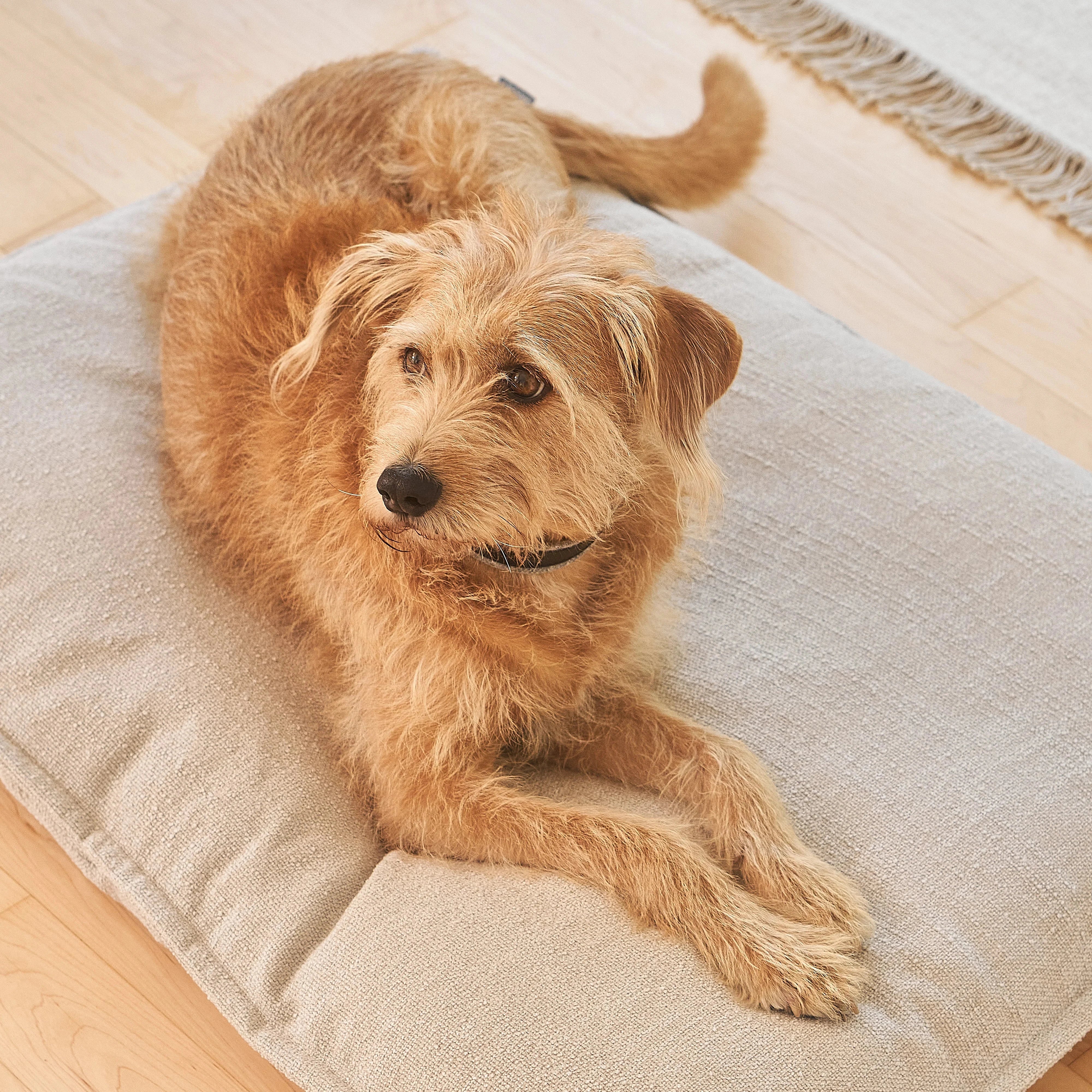 Campo MiaCara – coussin ergonomique pour chien