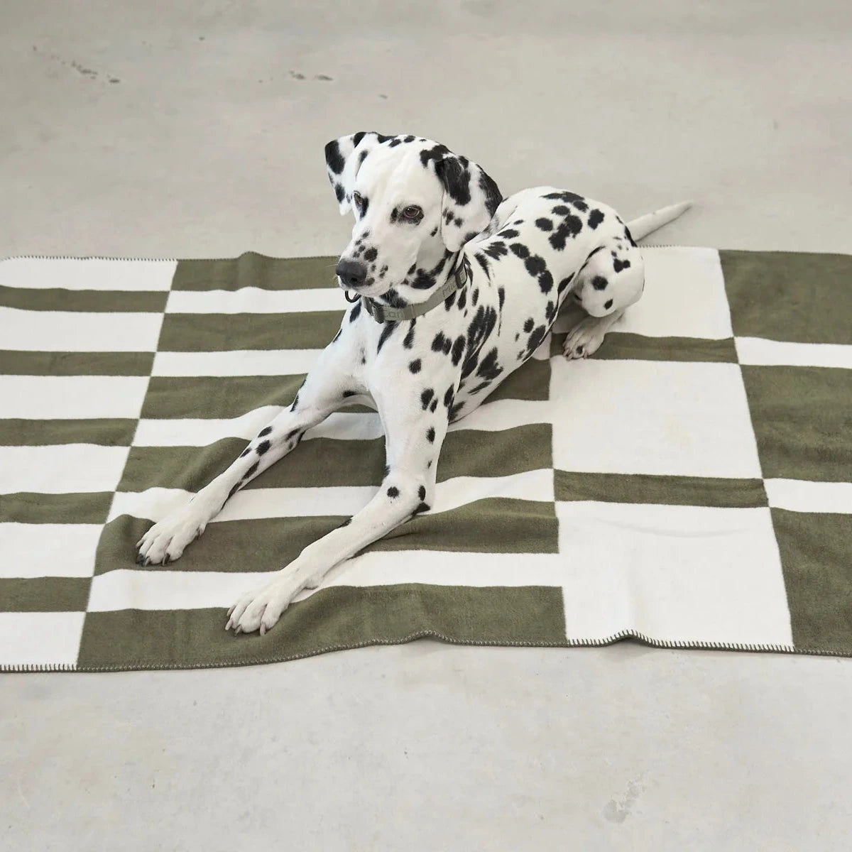 Blocco – Plaid design