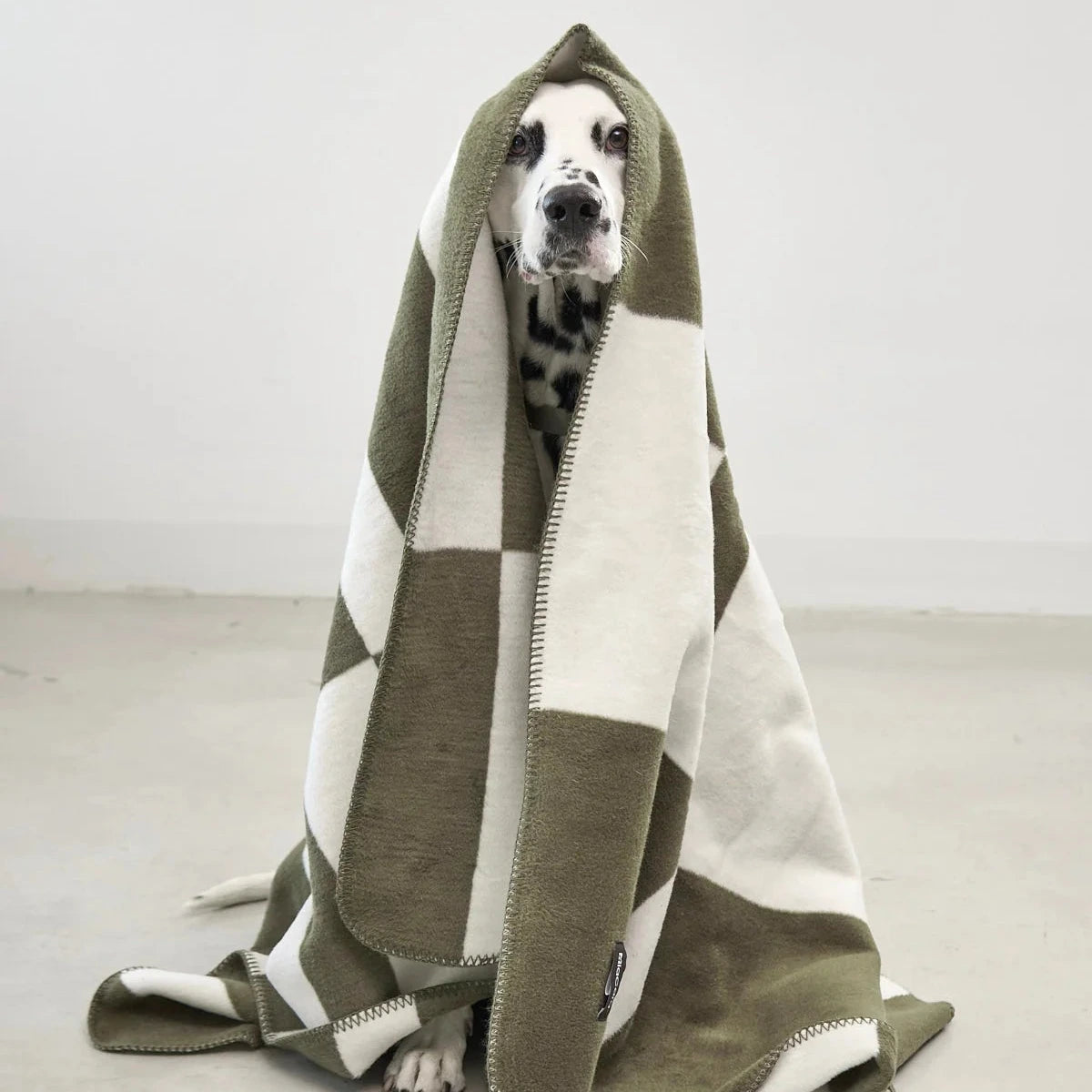 Blocco – Plaid design