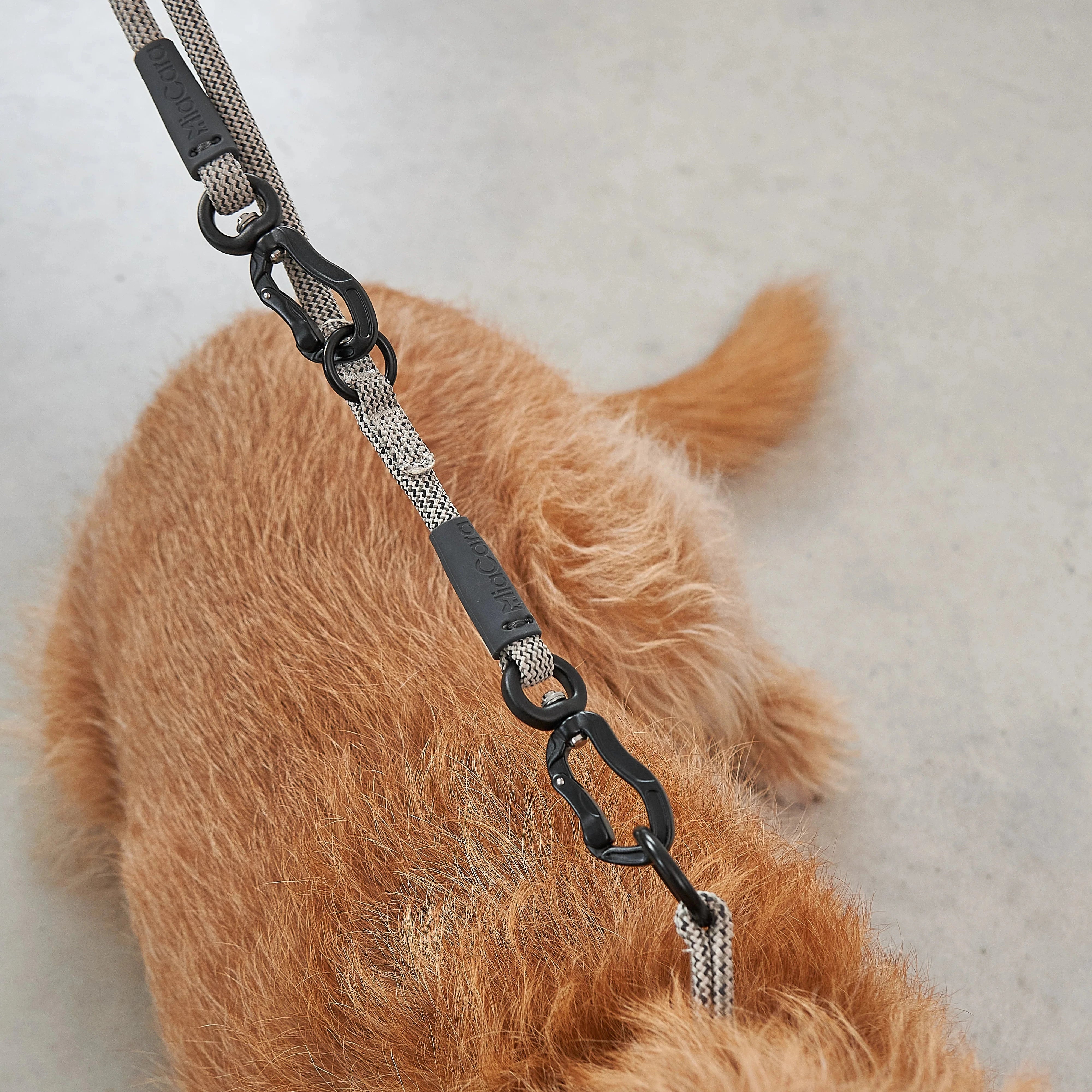 Monza – Laisse design en corde nylon premium