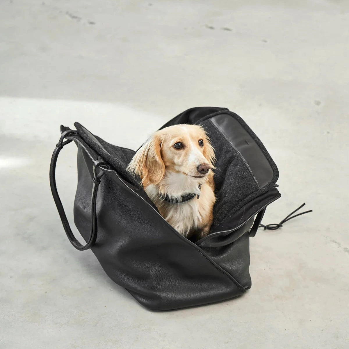 Sac de transport chien luxe Borsa – vue intérieure moelleuse