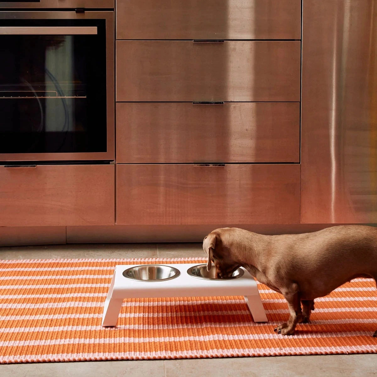 Support gamelles surélevé design – intérieur contemporain