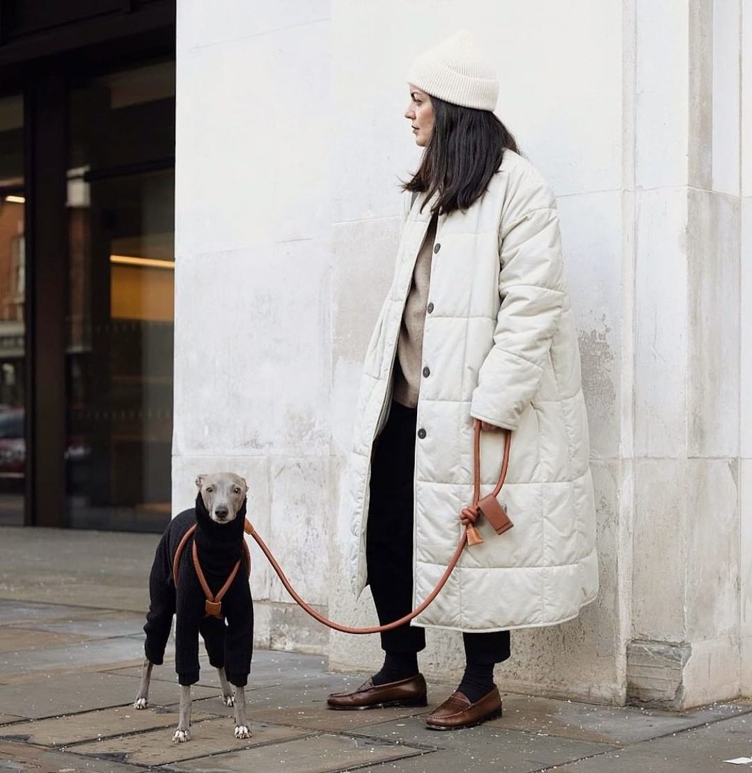Laisse et harnais RAY pour Chien Luxe et Design