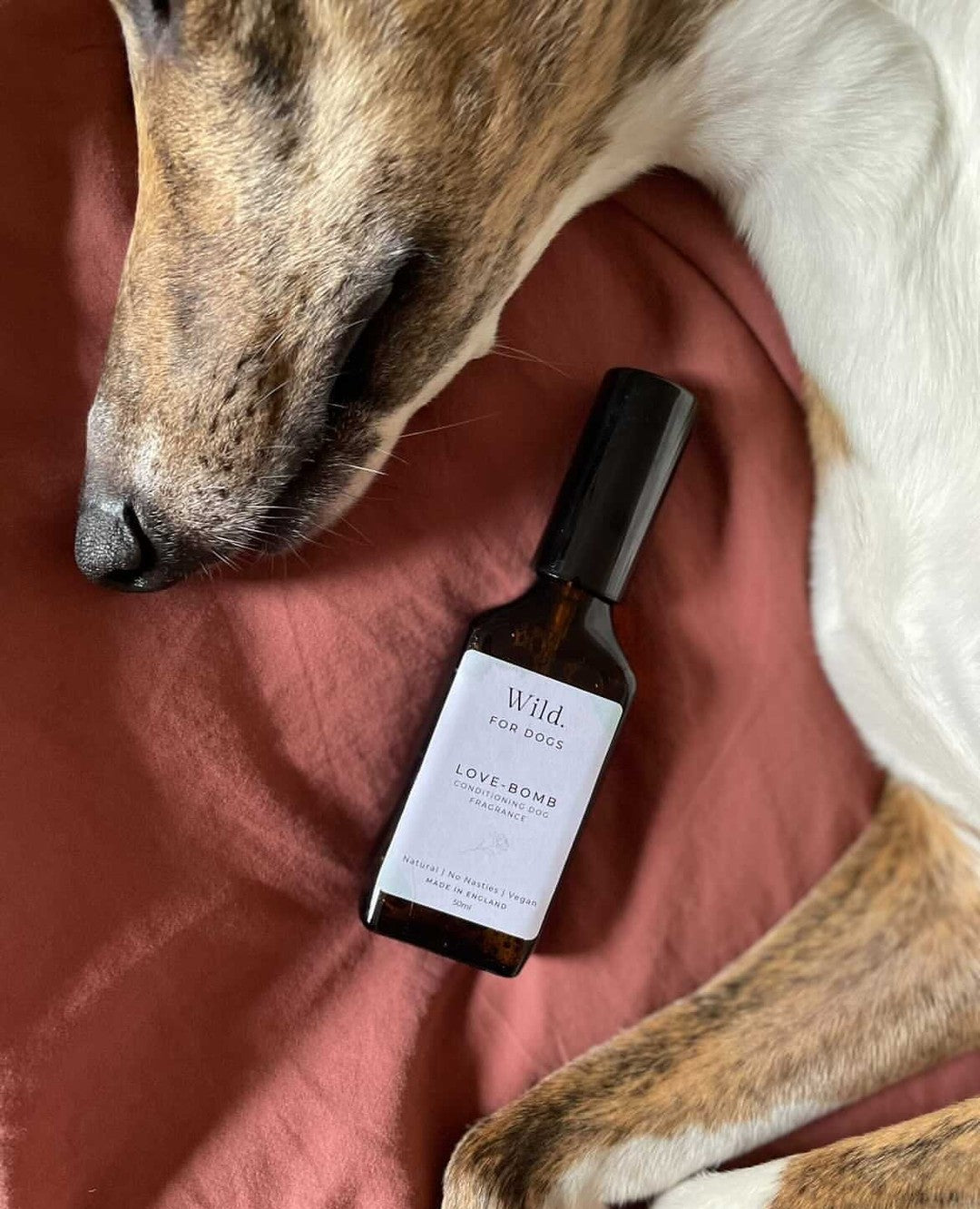 LOVE BOMB DOG FRAGRANCE