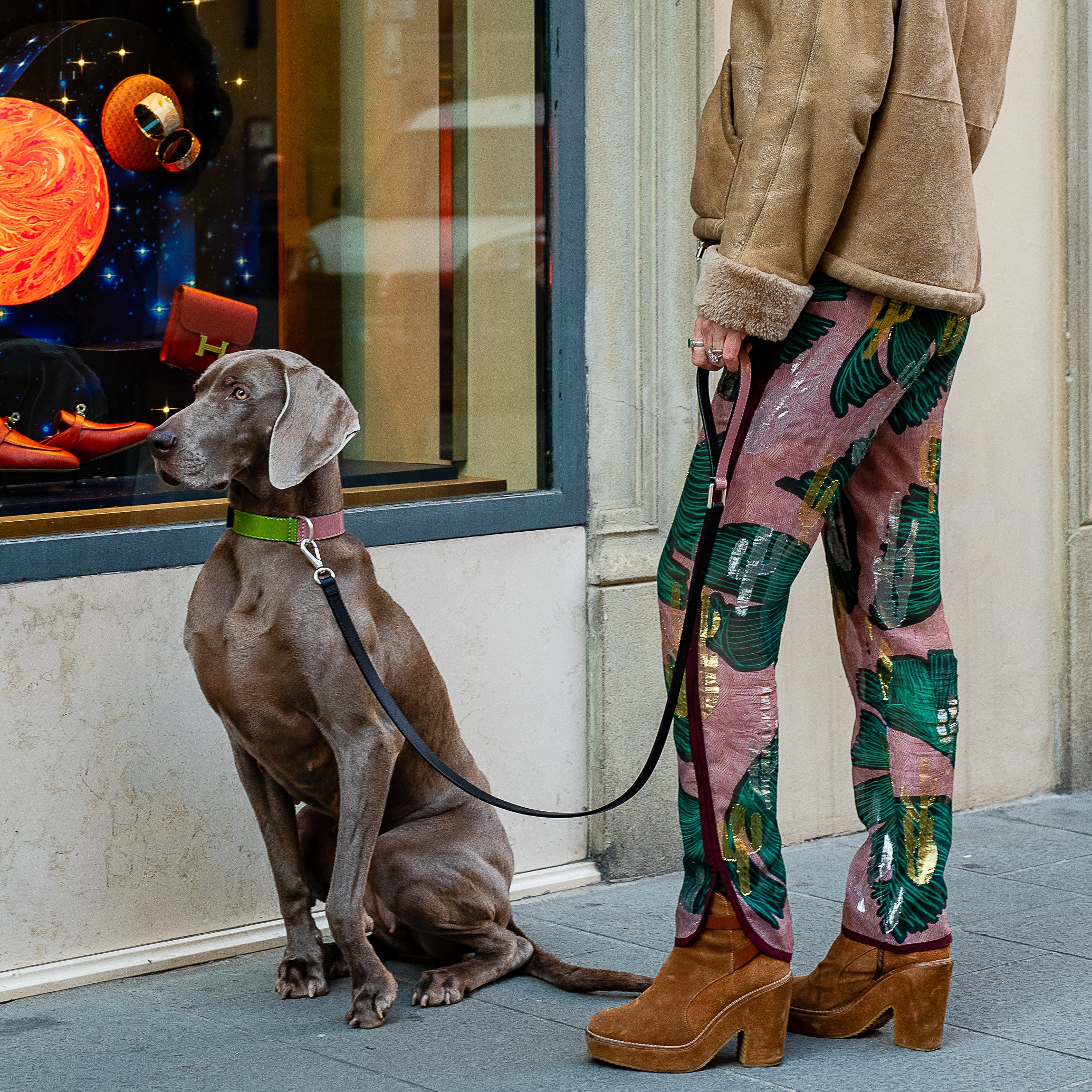 Laisse chien cuir verni rose & vert – design italien EMMA Firenze