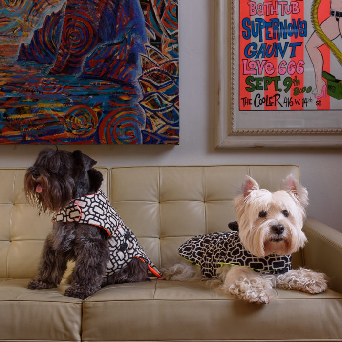 Manteau pour Chien de Luxe - BCM