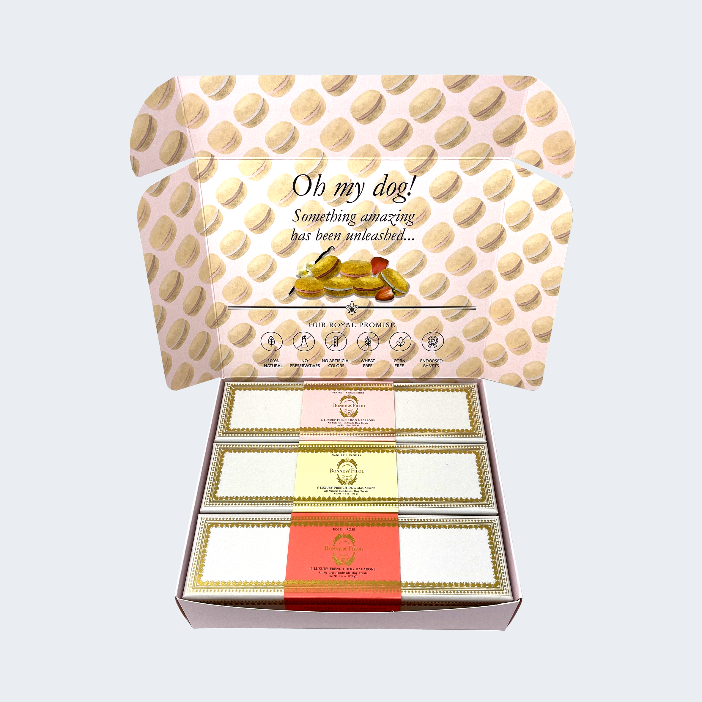 DOG MACARON BOX