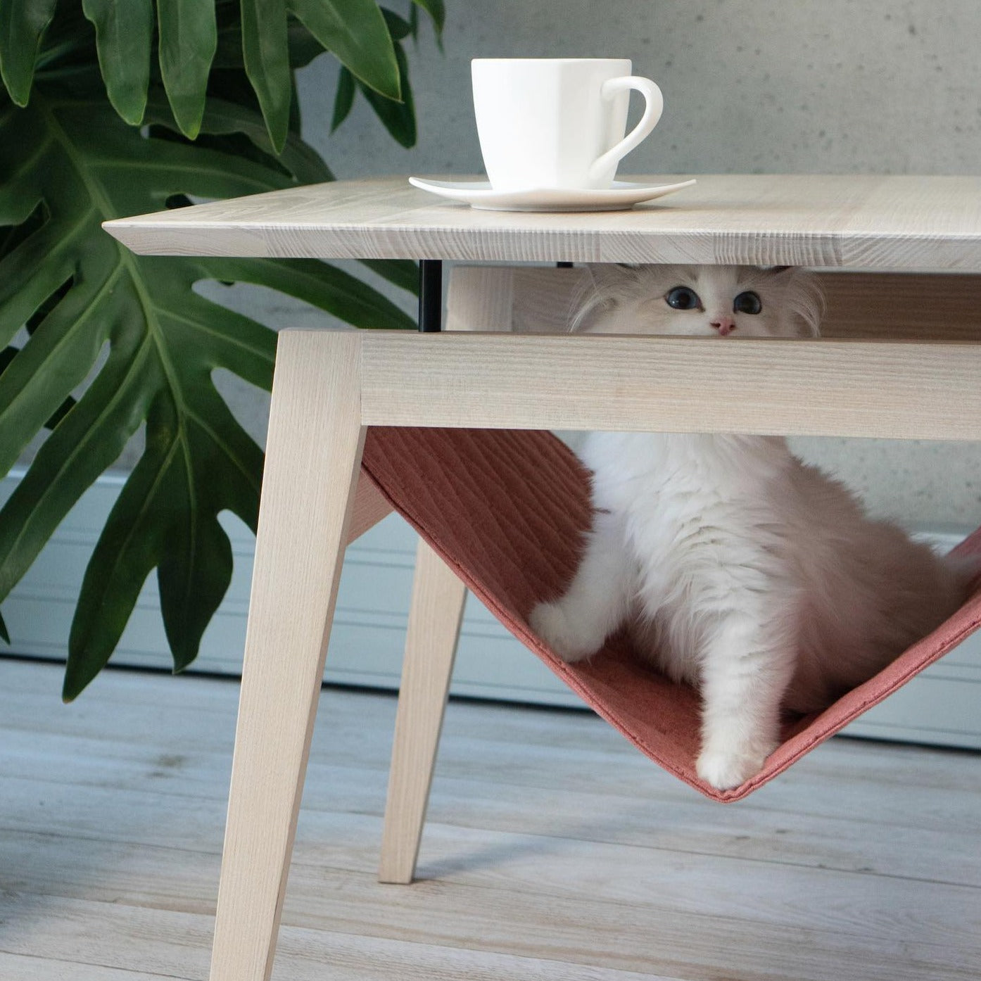 Table et Hamac pour Chat - KIKKO