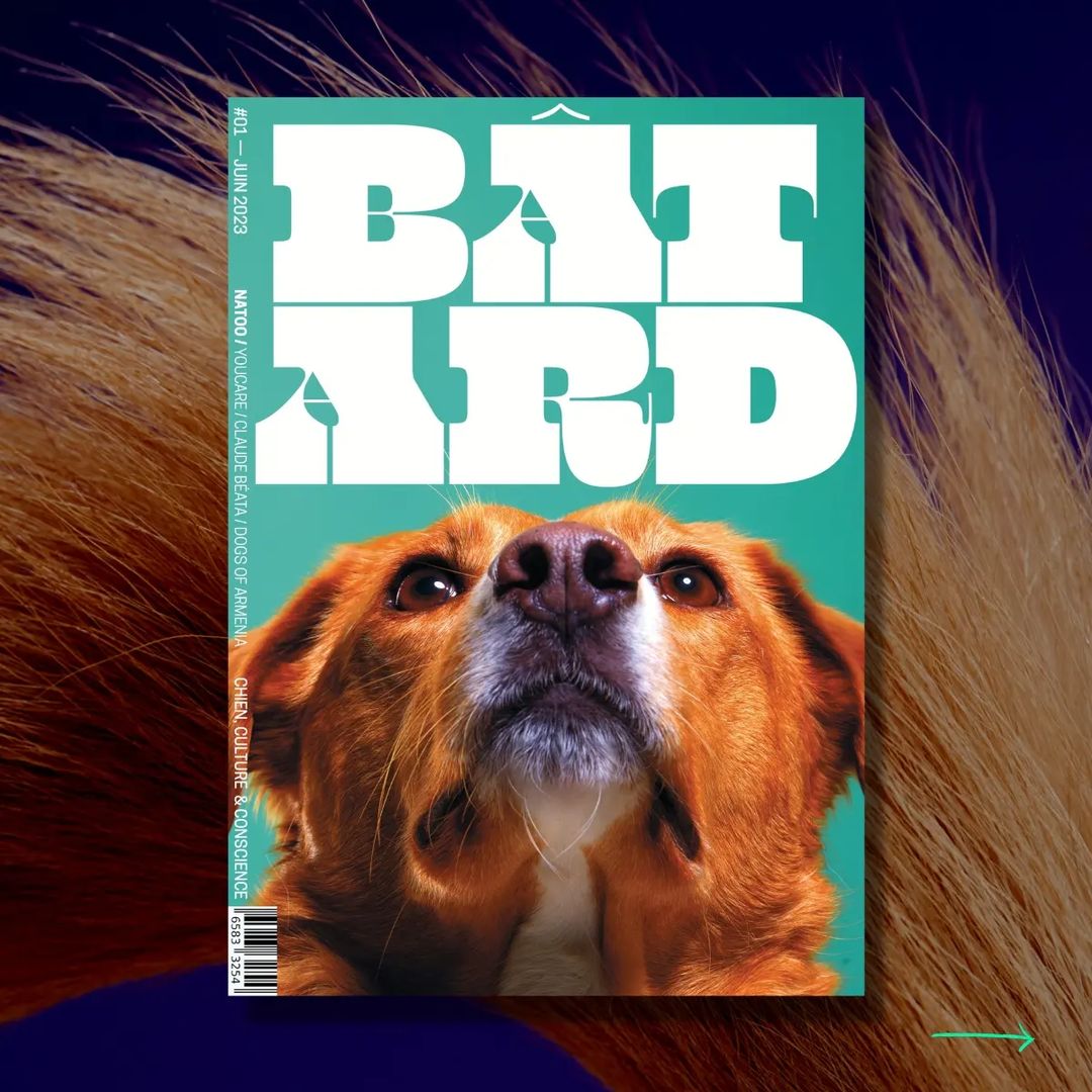 Magazine trimestriel - BÂTARD