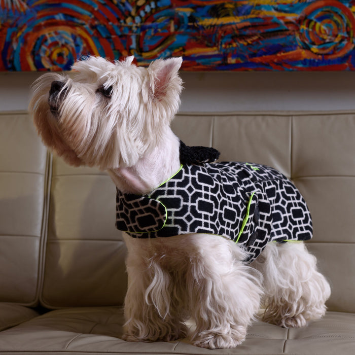 Manteau pour Chien de Luxe - BCM