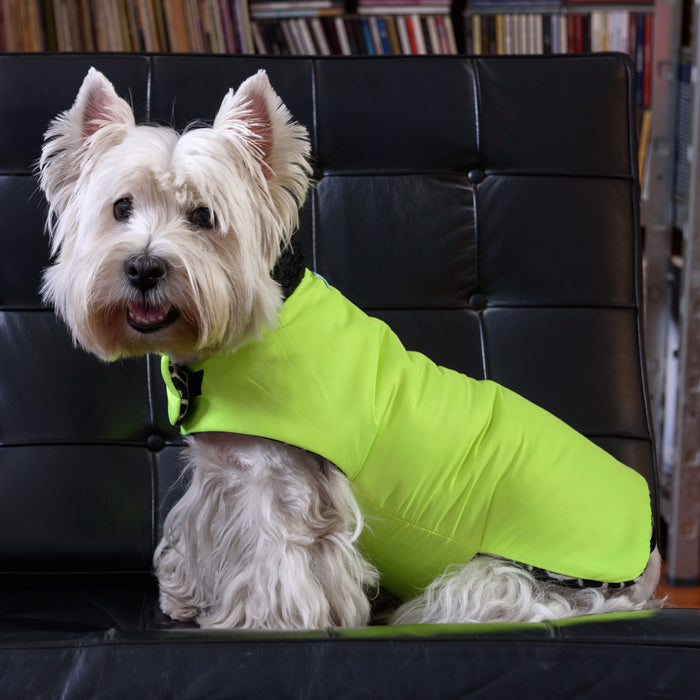 Manteau pour Chien de Luxe - BCM