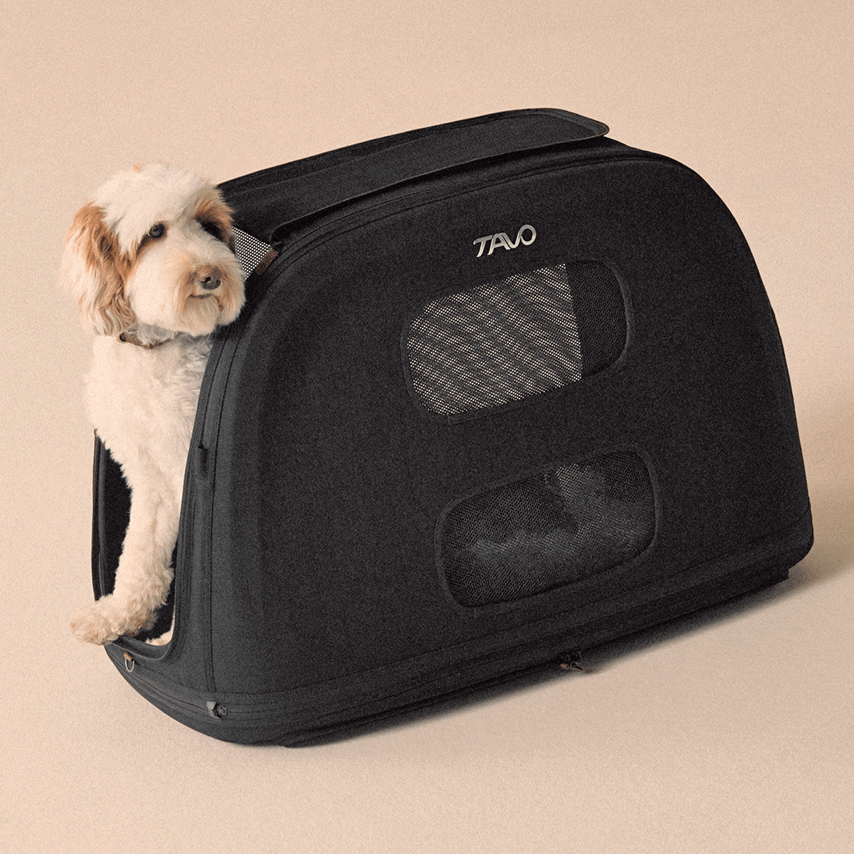 Crispin – caisse de voyage design et crash‑testé pour chien ou chat