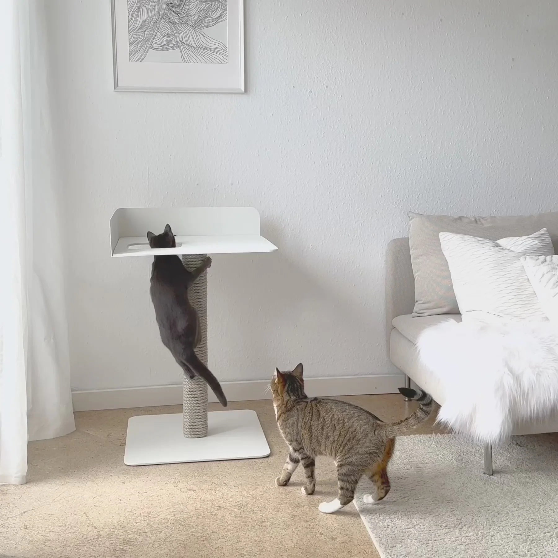 Arbre à Chat Design MS 520 – Blanc – Élégance Minimaliste