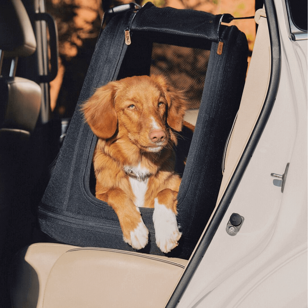 Crispin – caisse de voyage design et crash‑testé pour chien ou chat