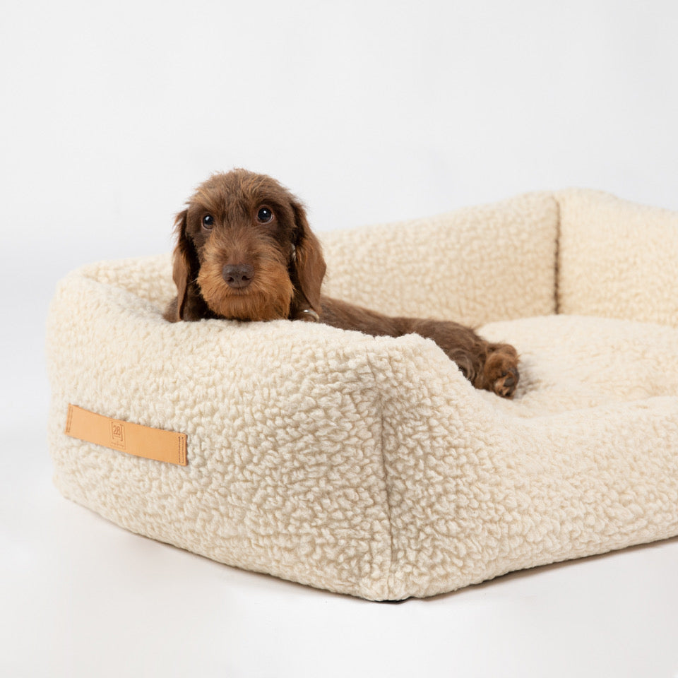Panier pour Chien Design original | HENRI laine bouclée