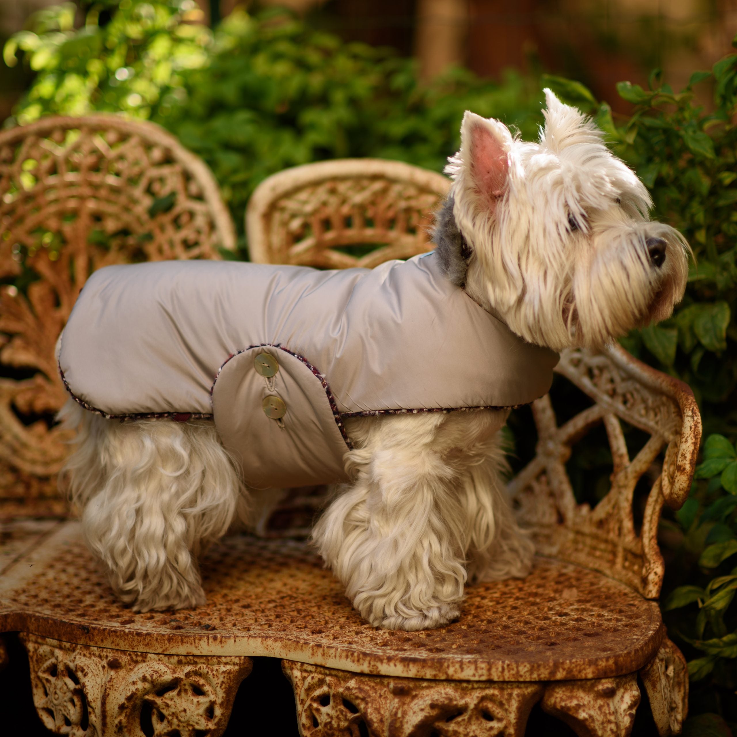Manteau pour Chien en Cachemire sur mesure Réversible | BLACK TWEED
