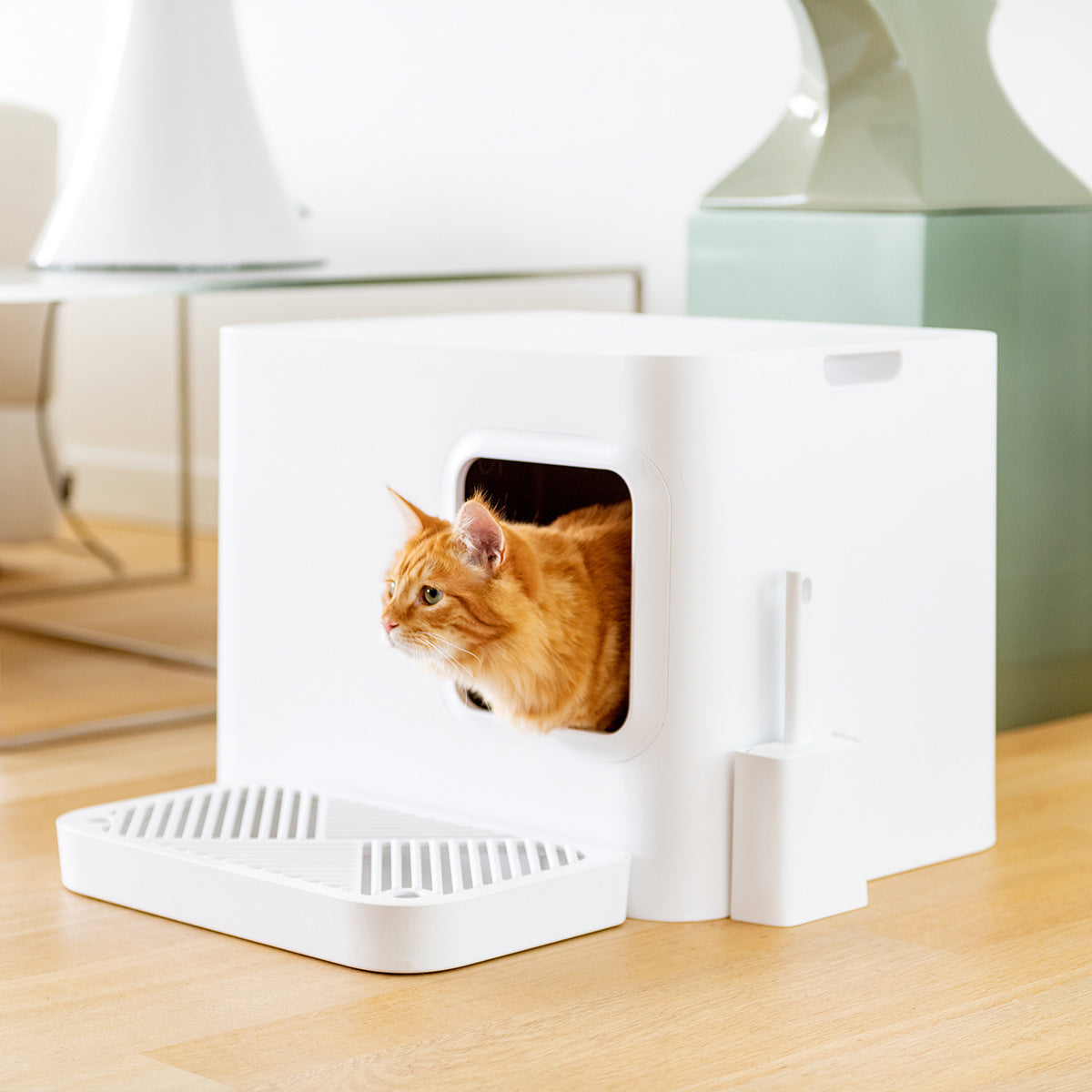Bac à litière Design pour Chat | Hoopo® - Dome Plus