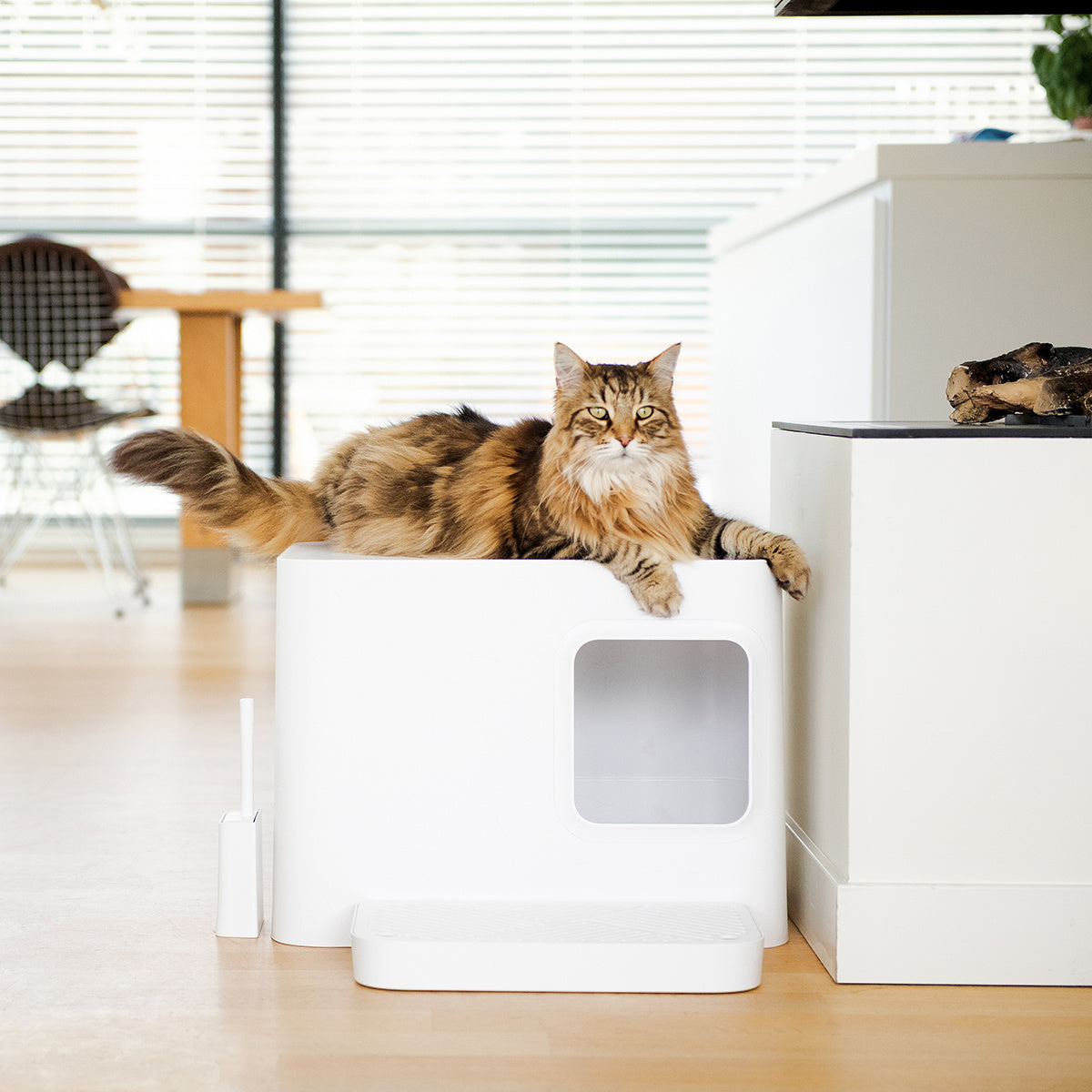 Bac à litière Design pour Chat | Hoopo® - Dome Plus Blanc