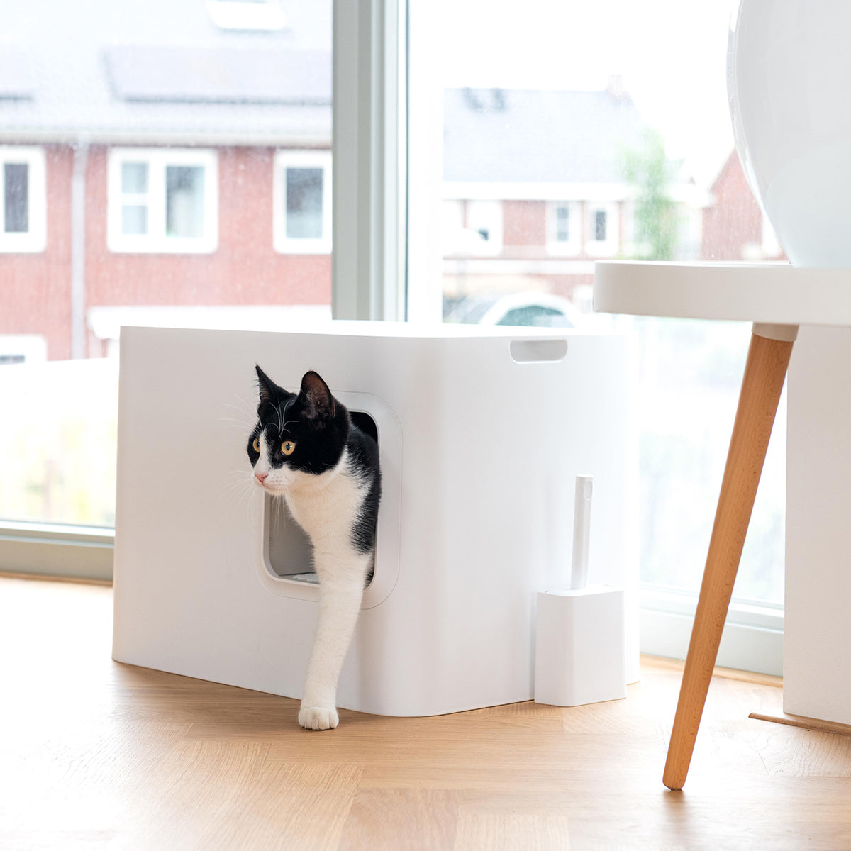 Bac à litière Design pour Chat | Hoopo® - Dome Blanc