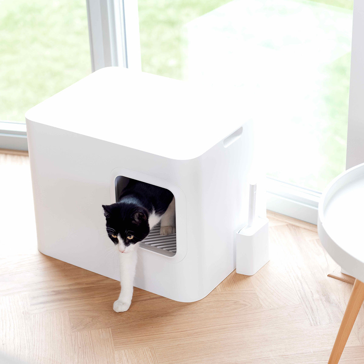 Bac à litière Design pour Chat | Hoopo® - Dome Blanc