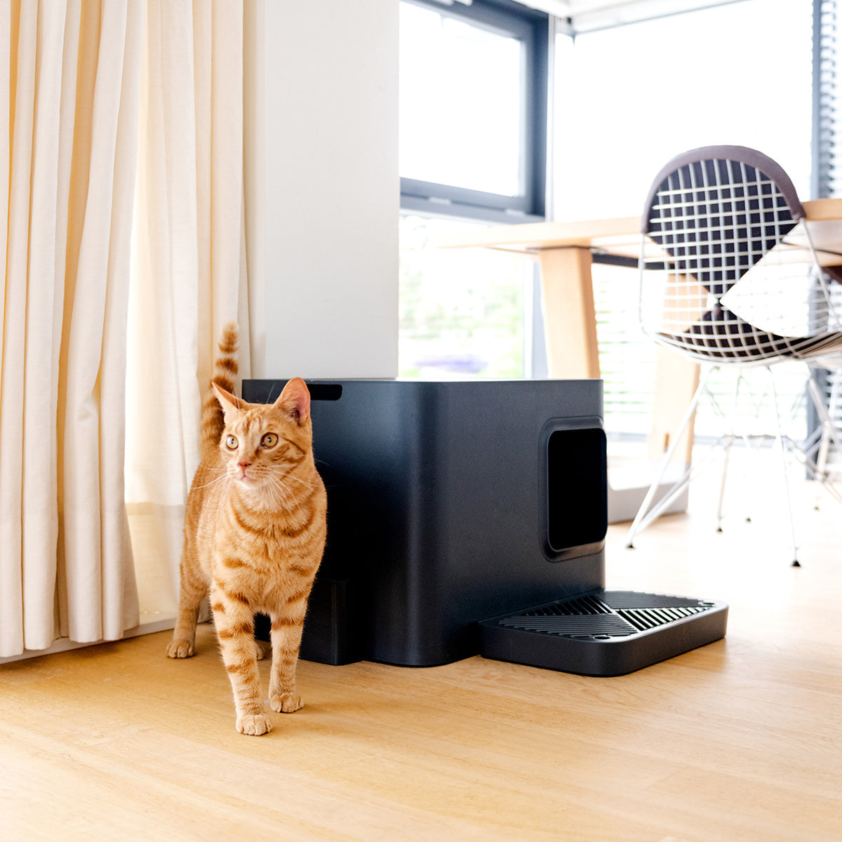 Bac à litière Noir pour Chat | Hoopo® - Dome Plus