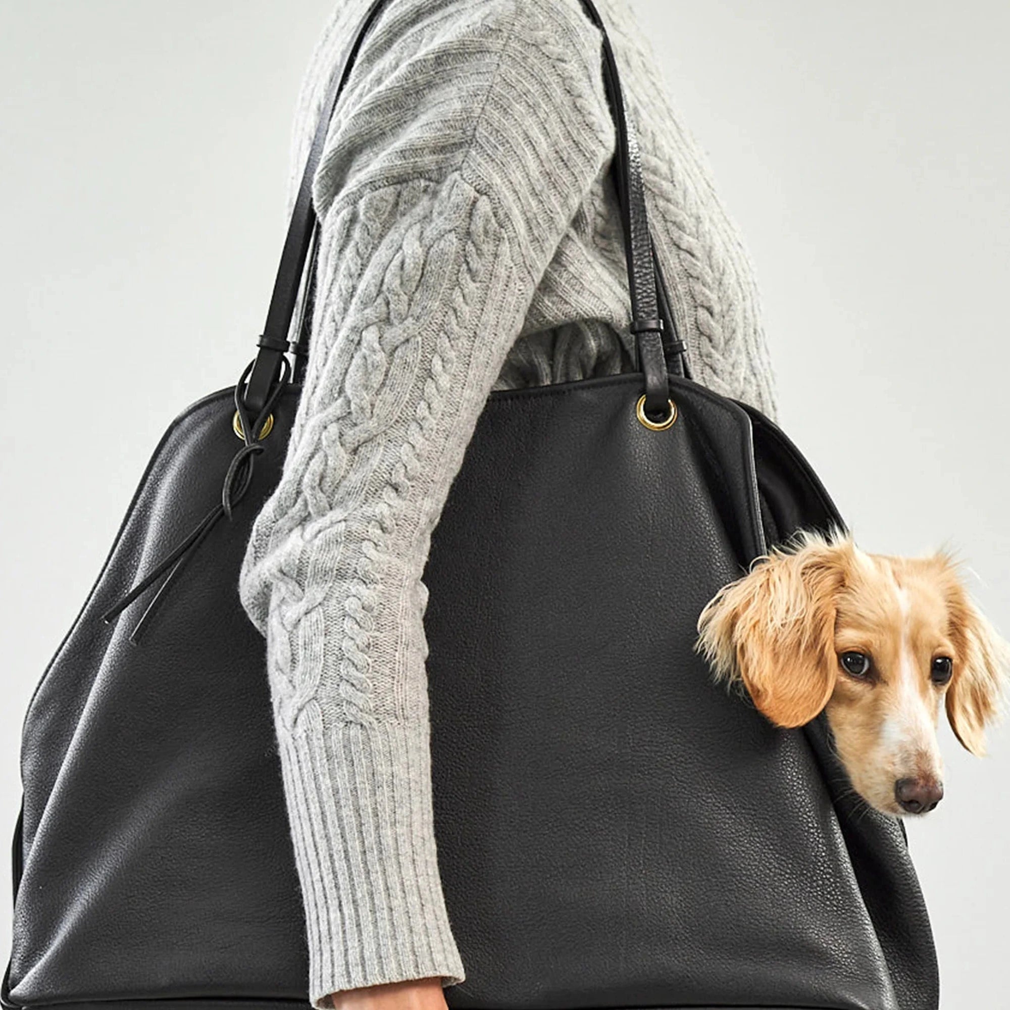 Sac de transport pour chien MiaCara Borsa – design minimaliste premium