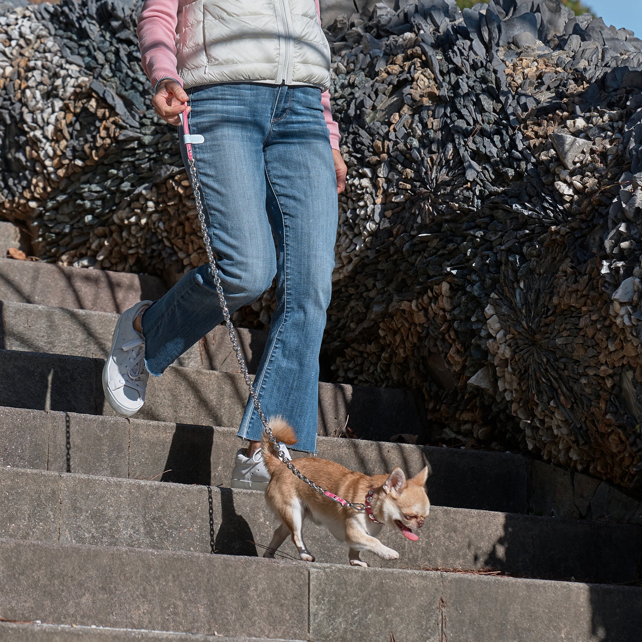 Laisse chien cuir fuchsia & bleu clair avec chaîne – EMMA Firenze