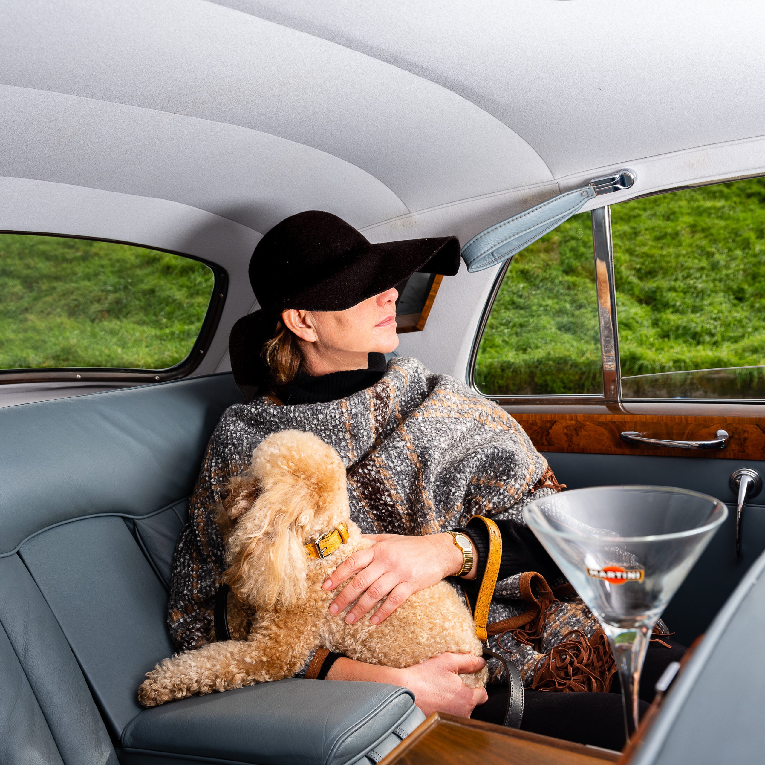 Collier pour Chien de Luxe | HAVANA - Artisanat Italien