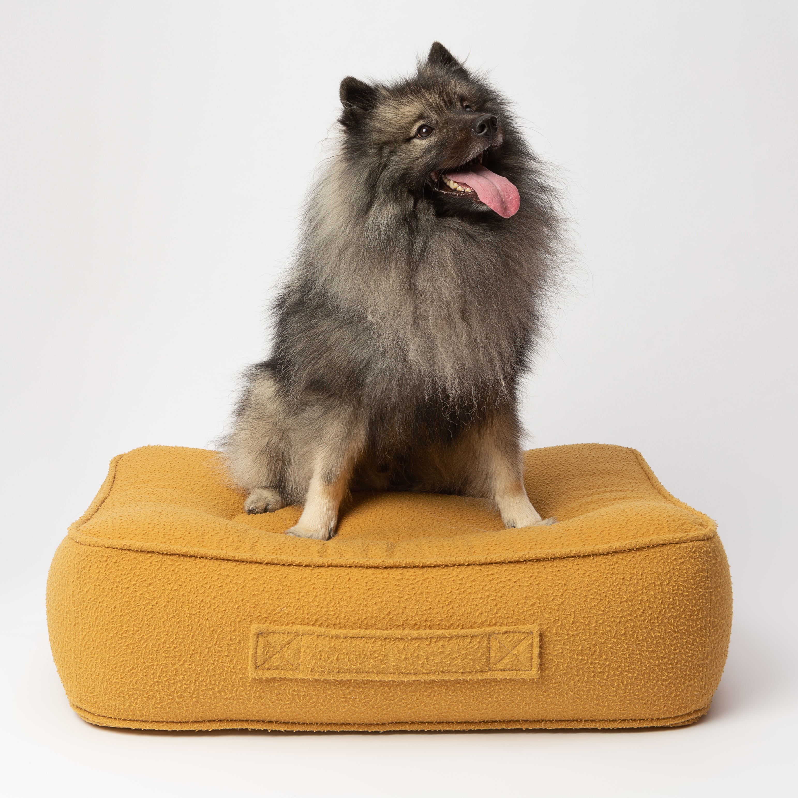 Coussin pour Chien à mémoire de forme Lozamo SBC Jaune