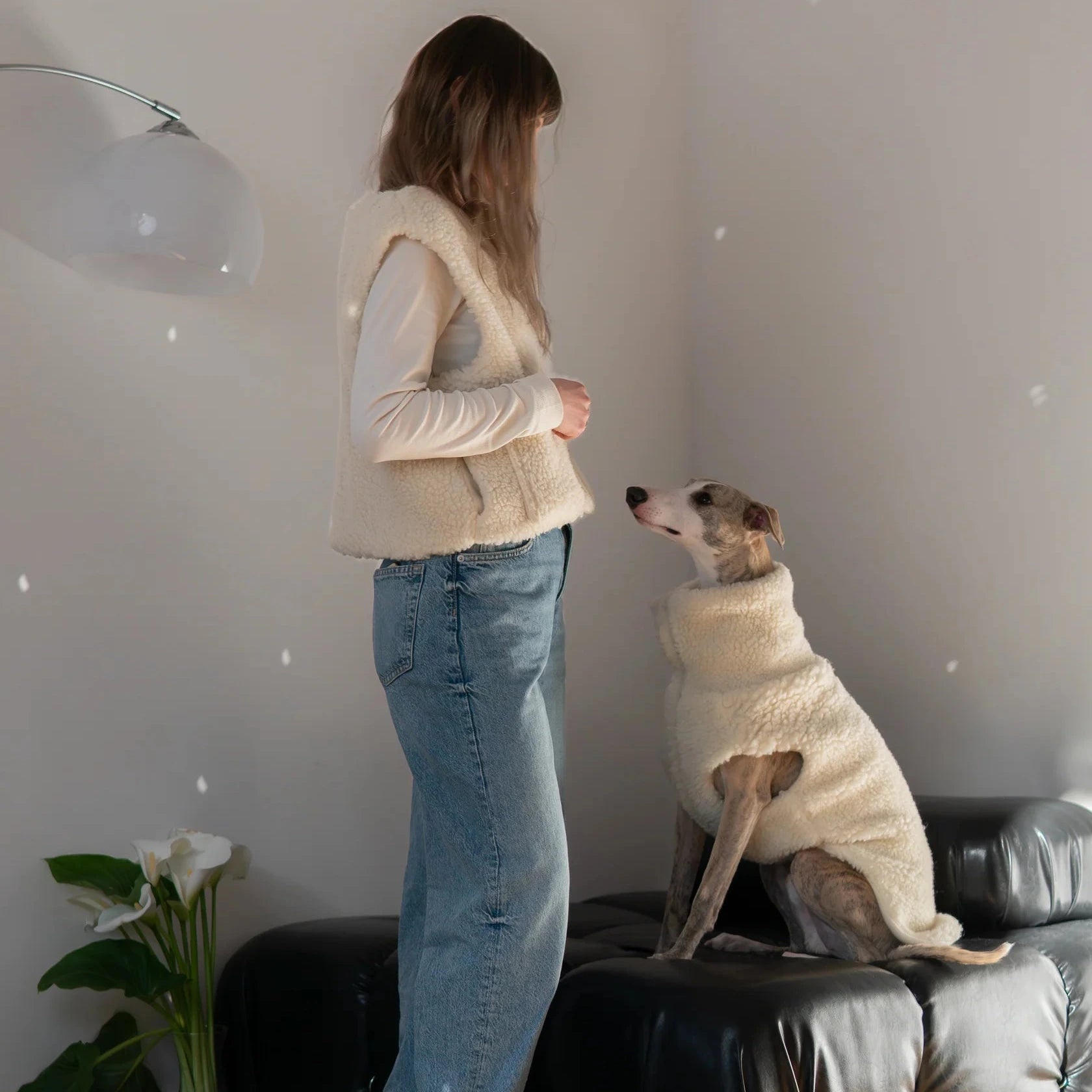 Vêtement chien premium – laine naturelle élégante