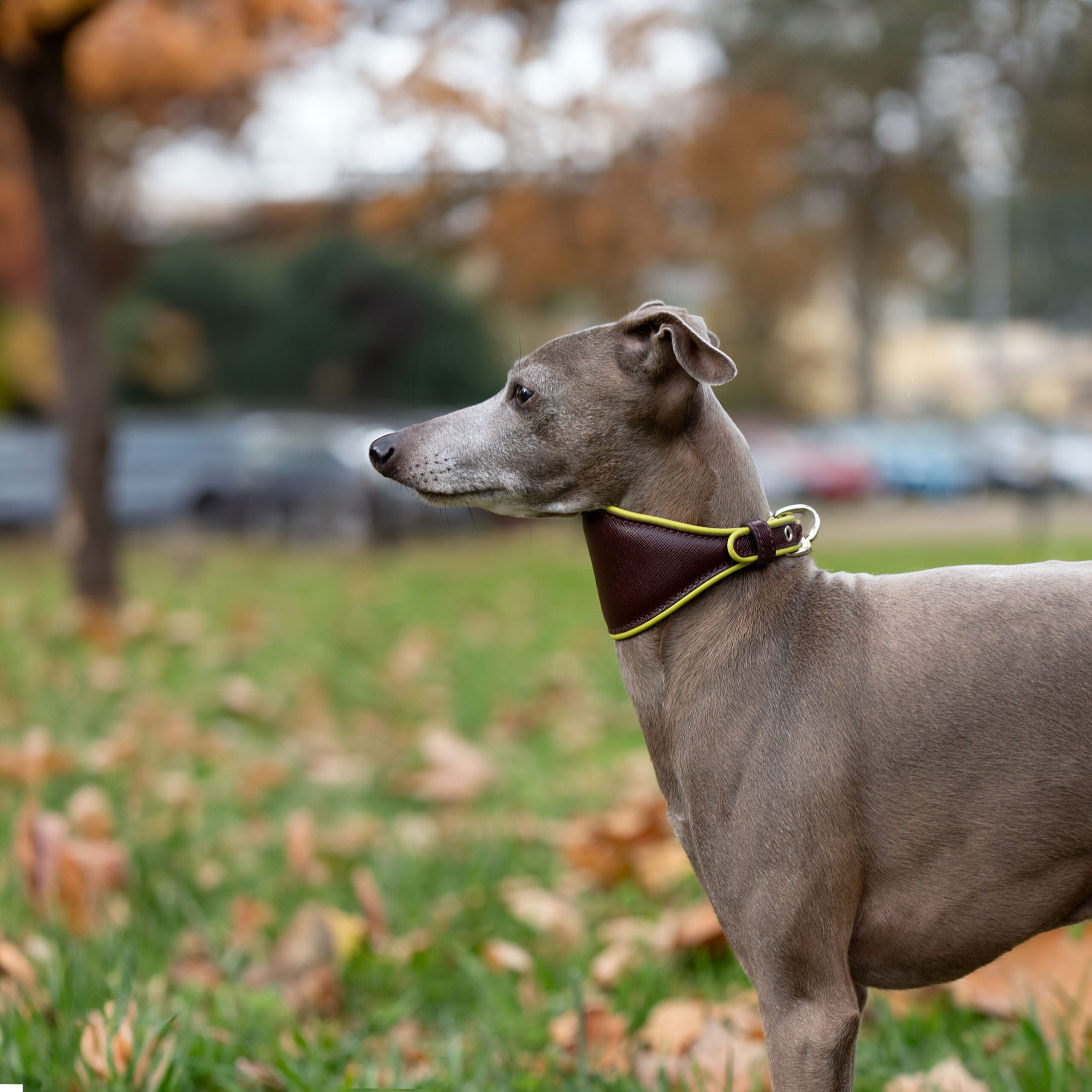 Collier lévrier Made in Italy – élégance intemporelle