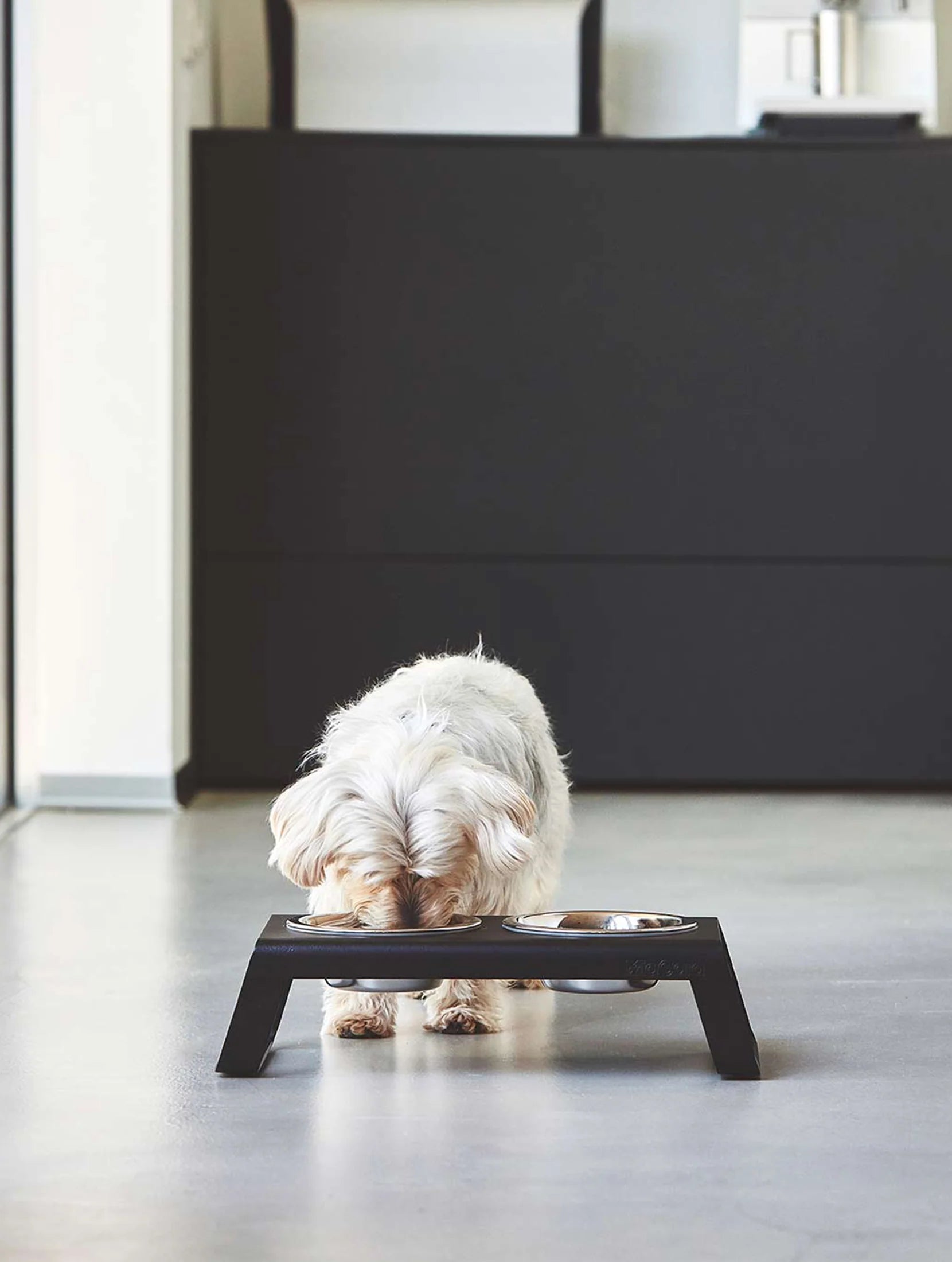 Support gamelles surélevé design – intérieur contemporain