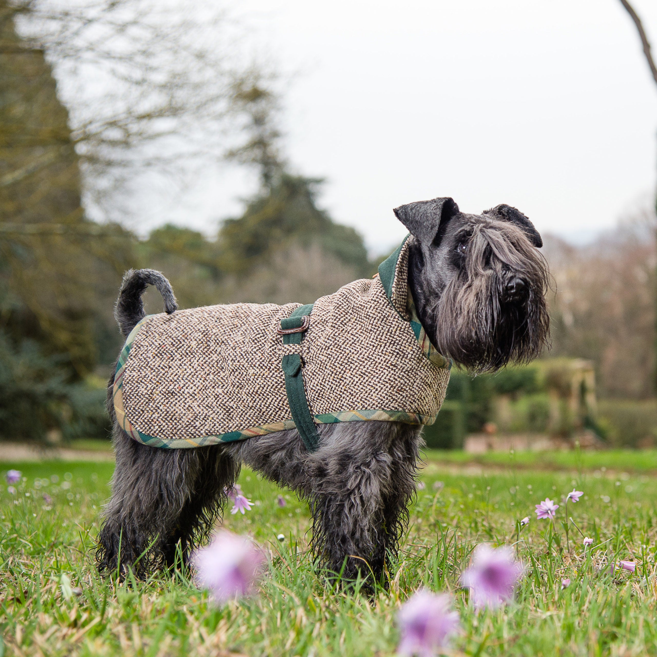 TWEED&GREEN