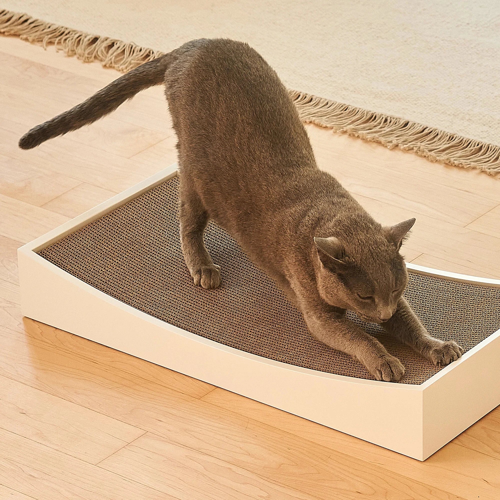 Gratta – Rechange en carton écologique pour griffoir