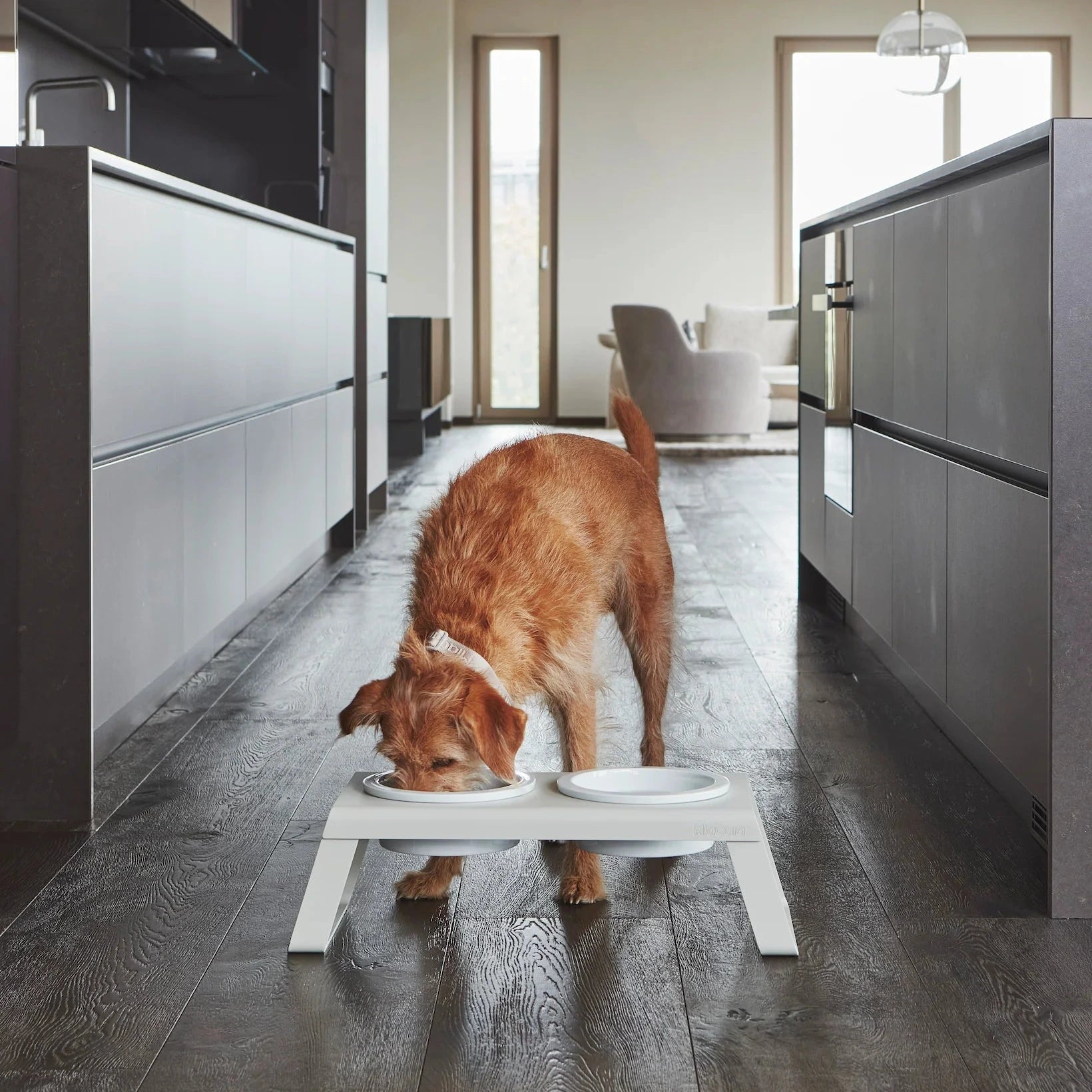Support gamelles surélevé design – intérieur contemporain