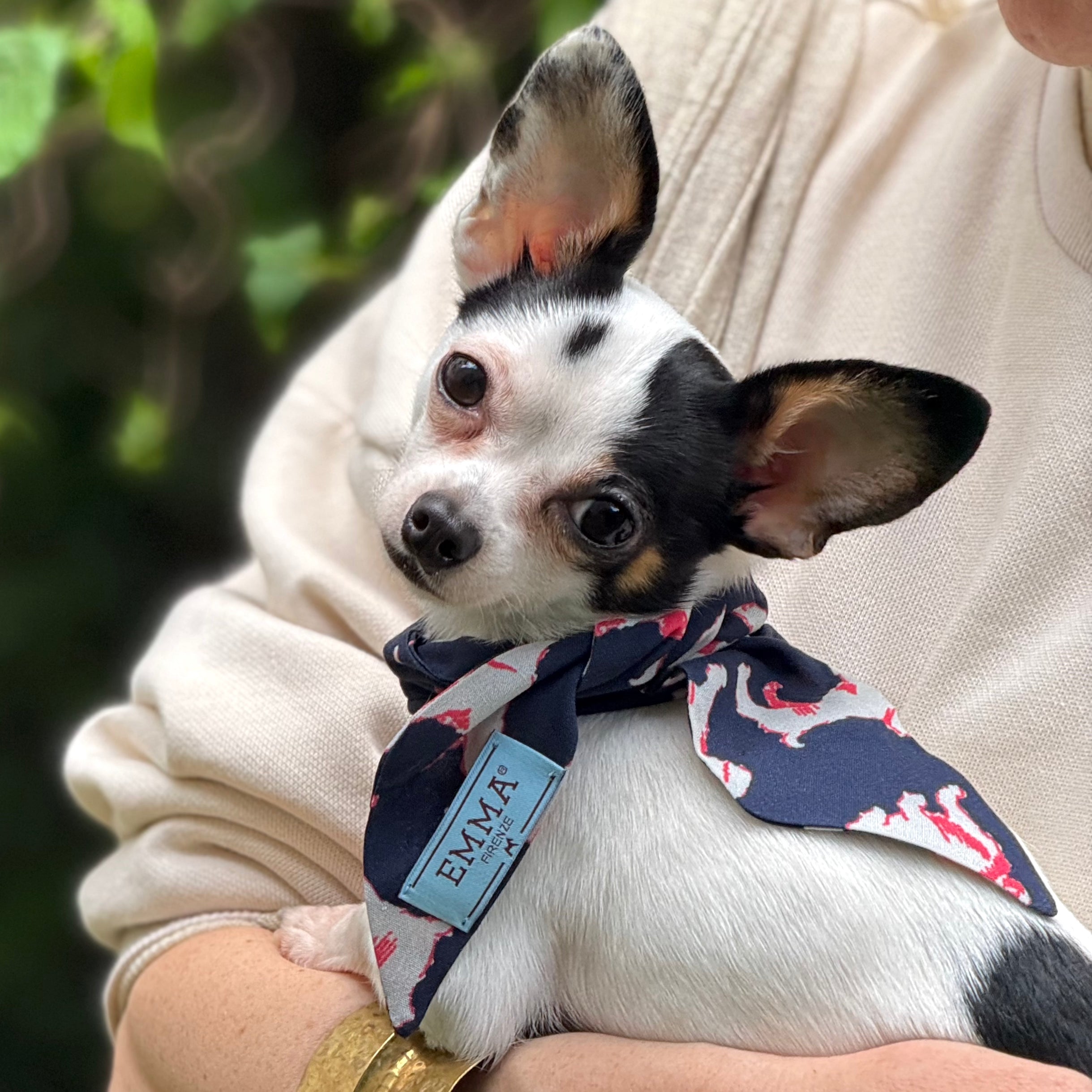 Twilly chien luxe à imprimé chiots – design EMMA Firenze