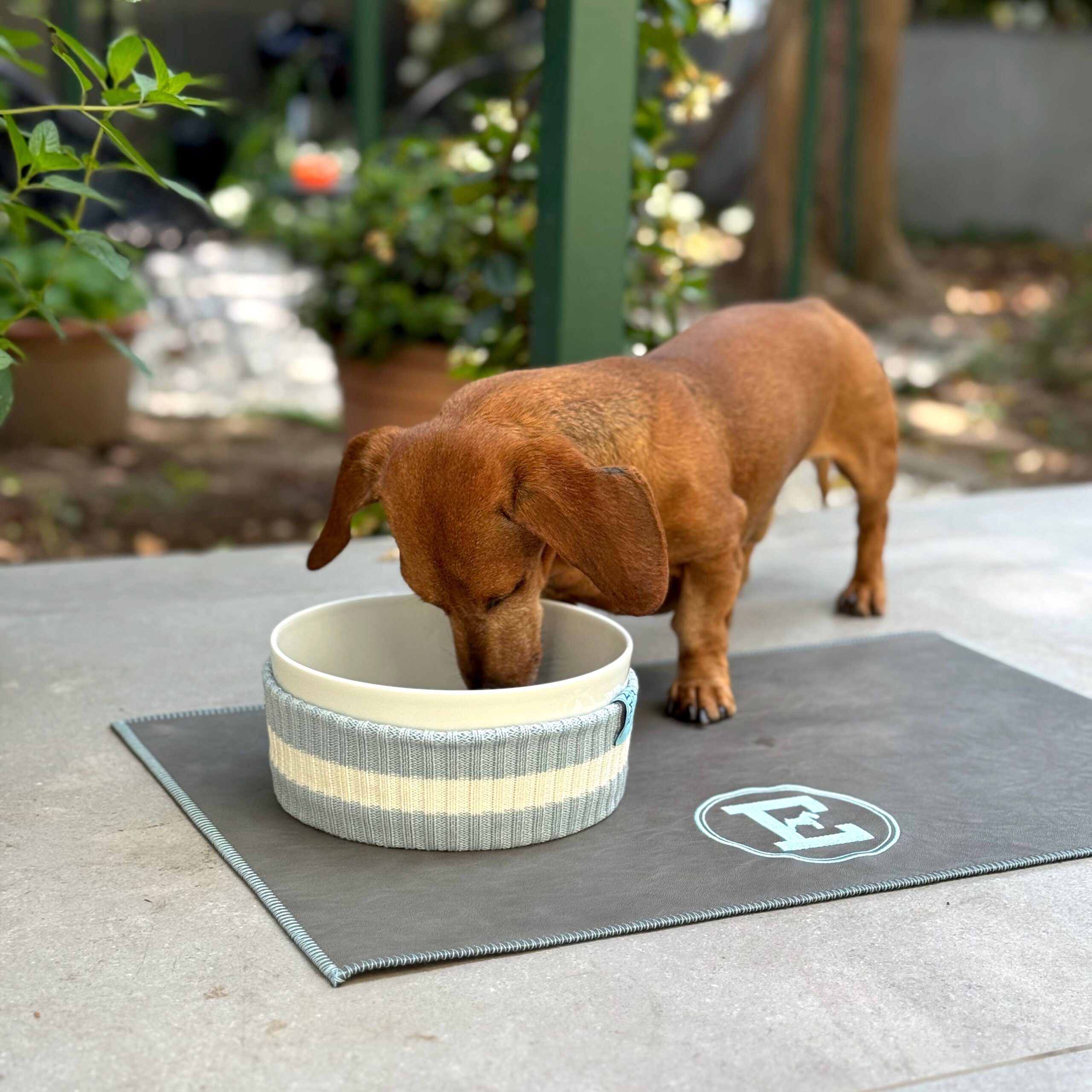 Set de table chien design gris et bleu – EMMA Firenze