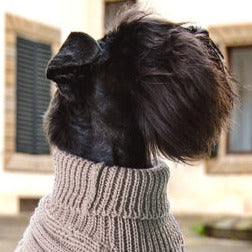 BUTTER FLOWERS-UP&DOWN