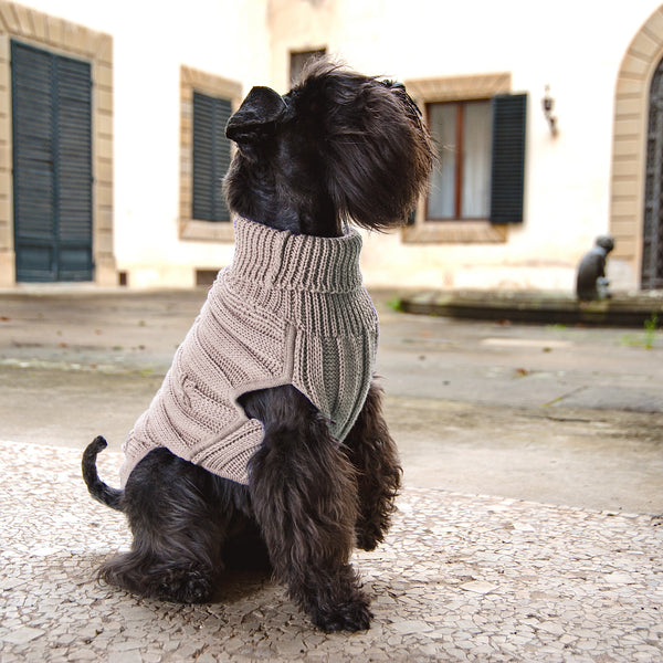 BUTTER FLOWERS-UP&DOWN