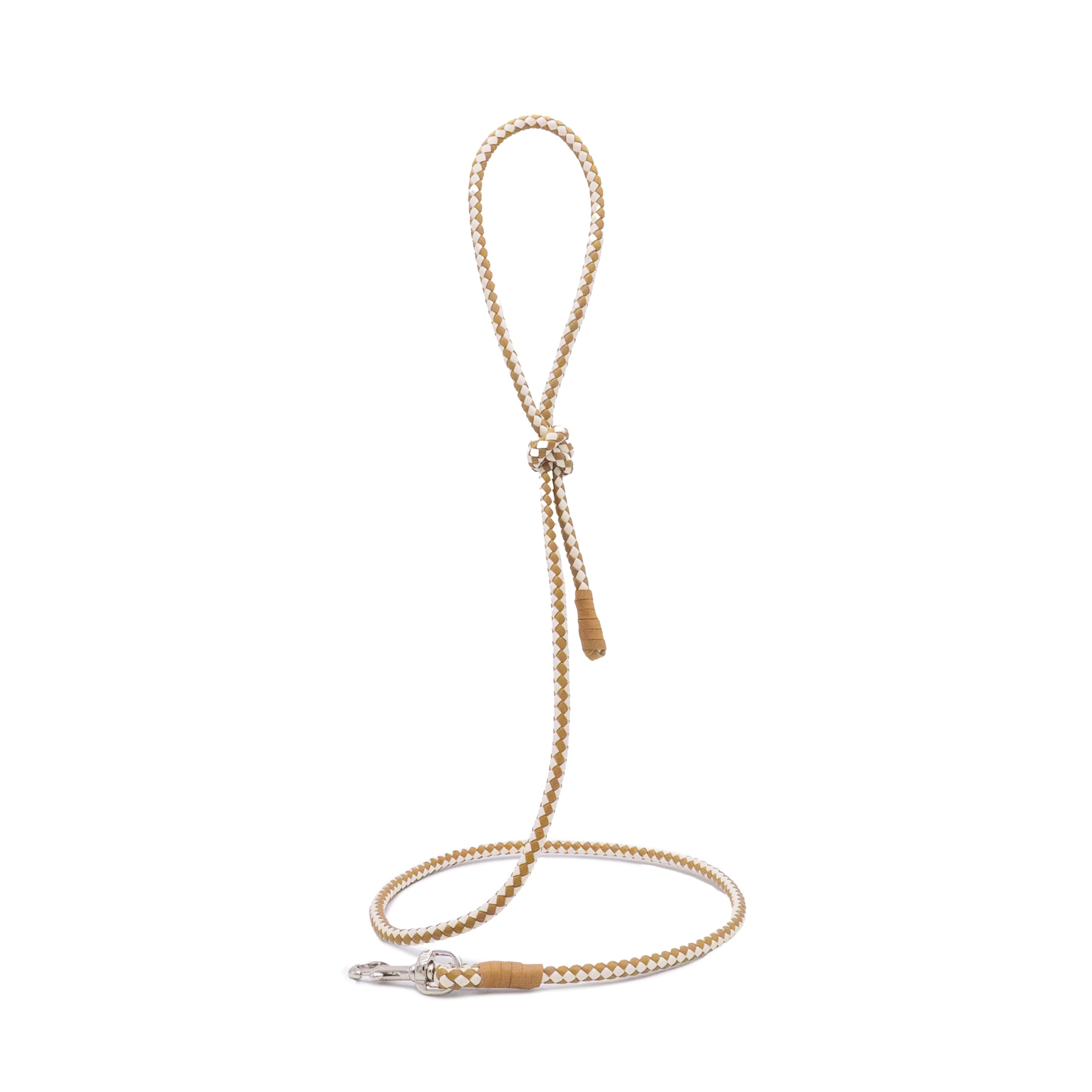 Laisse chien luxe – style naturel et intemporel